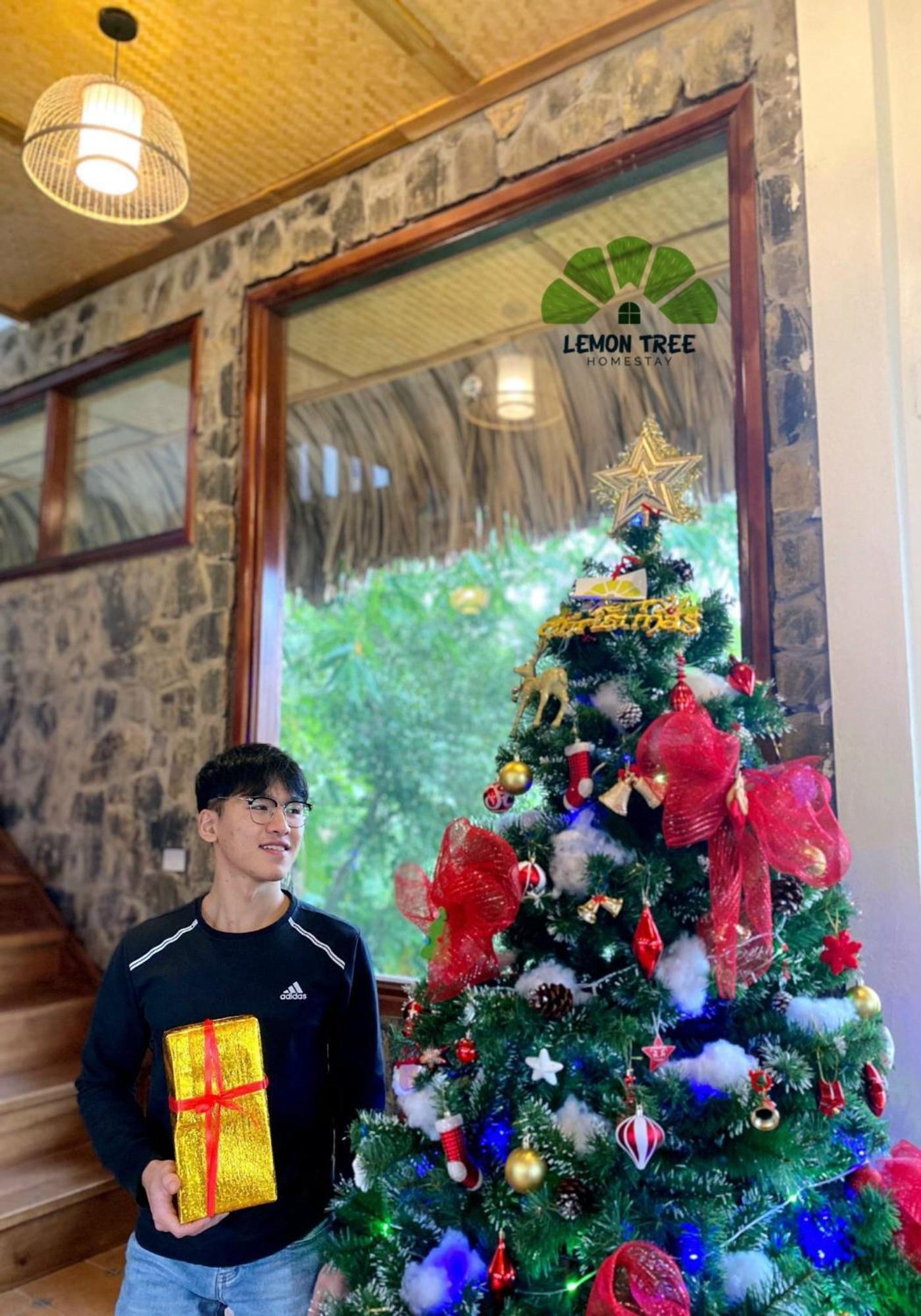 Homestay Lemon Tree Tam Coc *