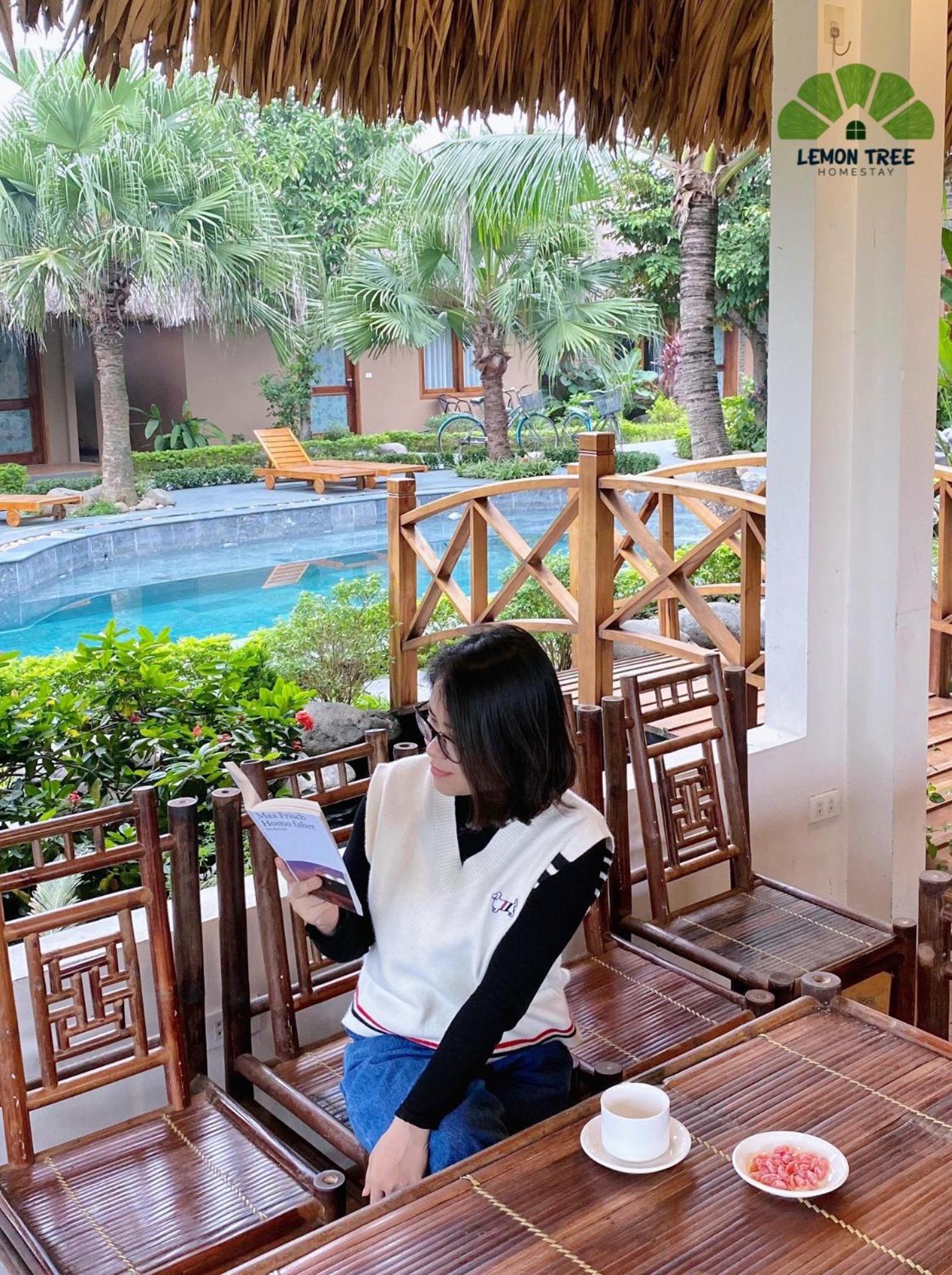 Homestay Lemon Tree Tam Coc Ninh Binh