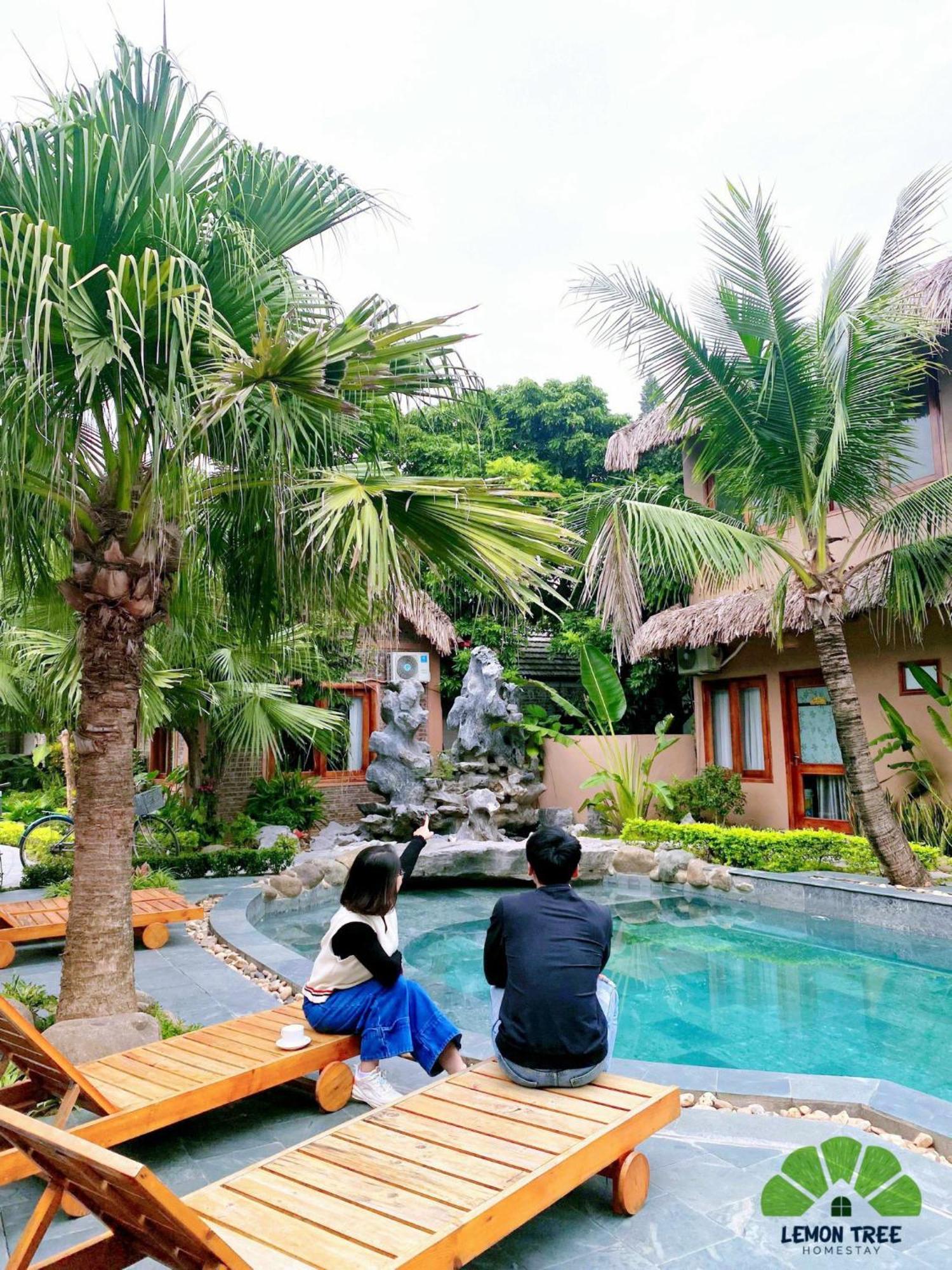 Homestay Lemon Tree Tam Coc