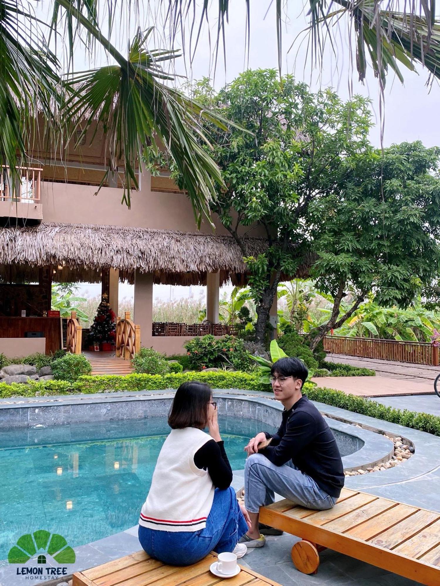 Homestay Lemon Tree Tam Coc Ninh Binh