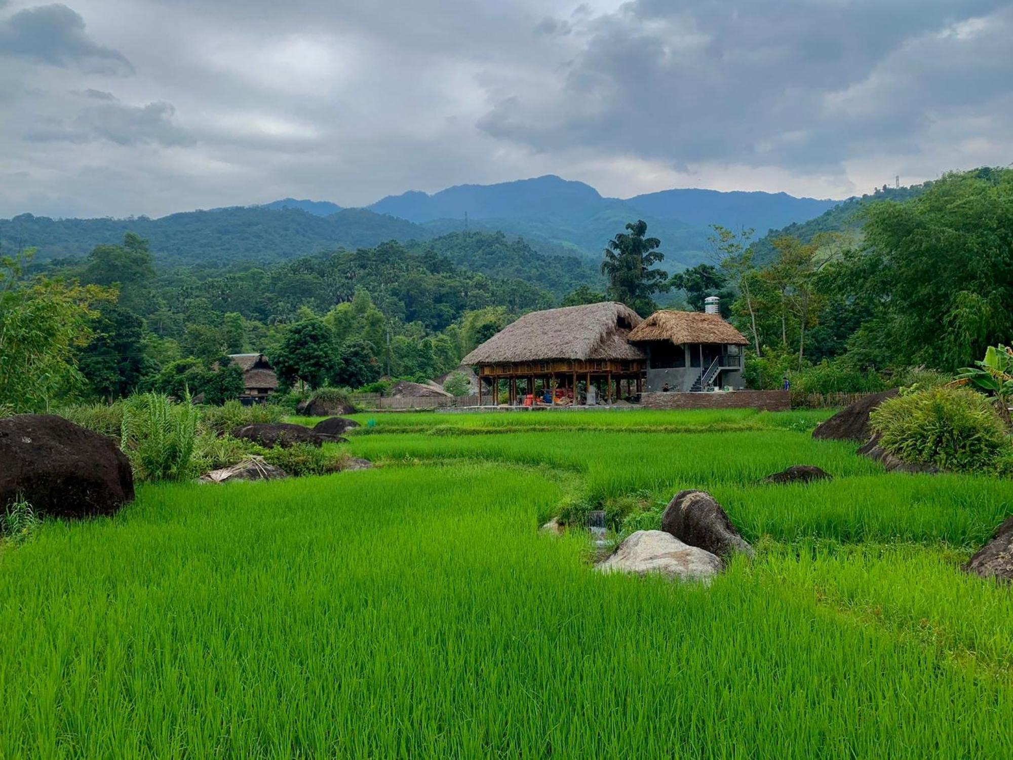 Khách sạn Yolo House And Loop Tours