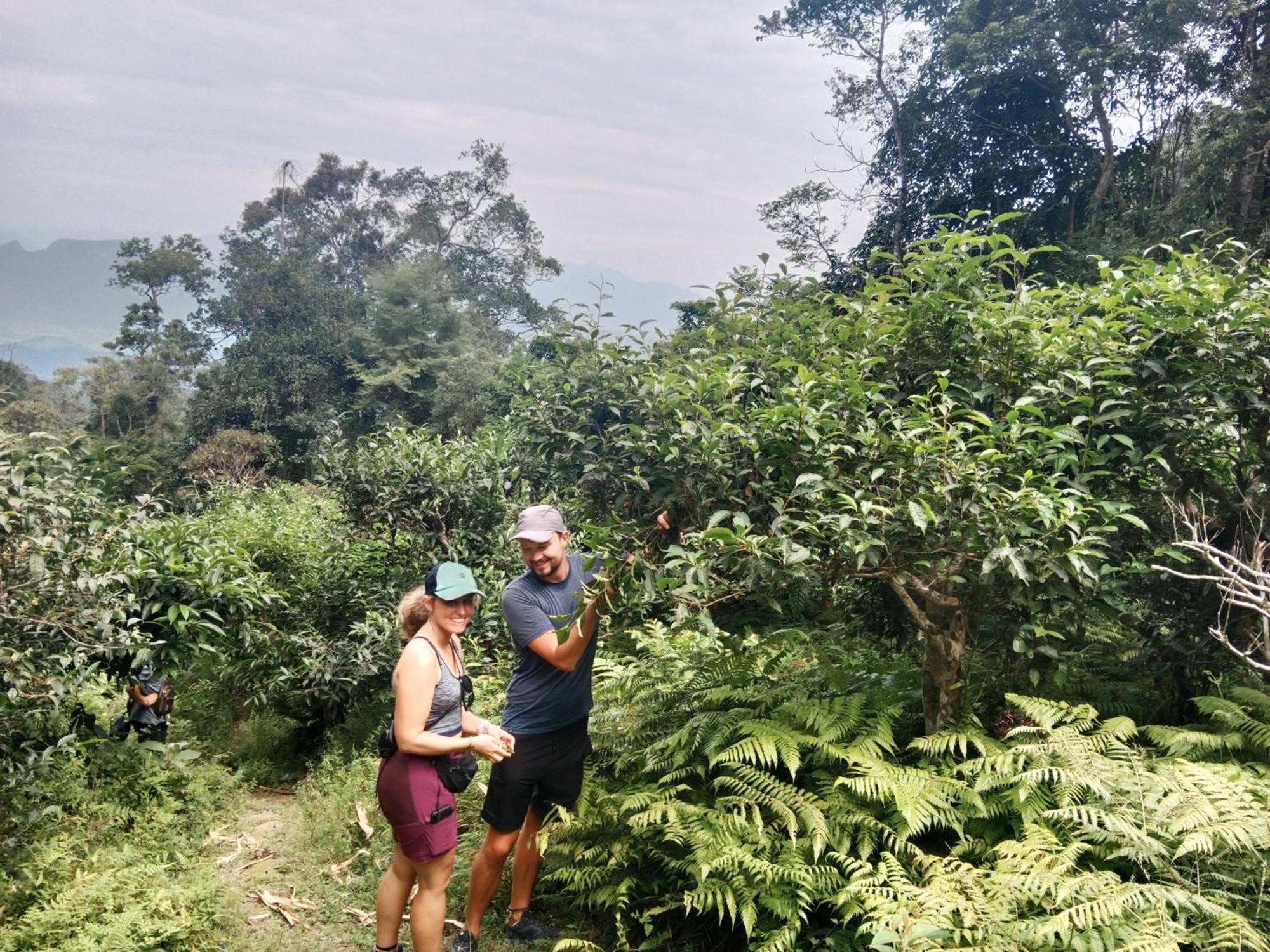 Yolo House And Loop Tours Khách sạn 3*