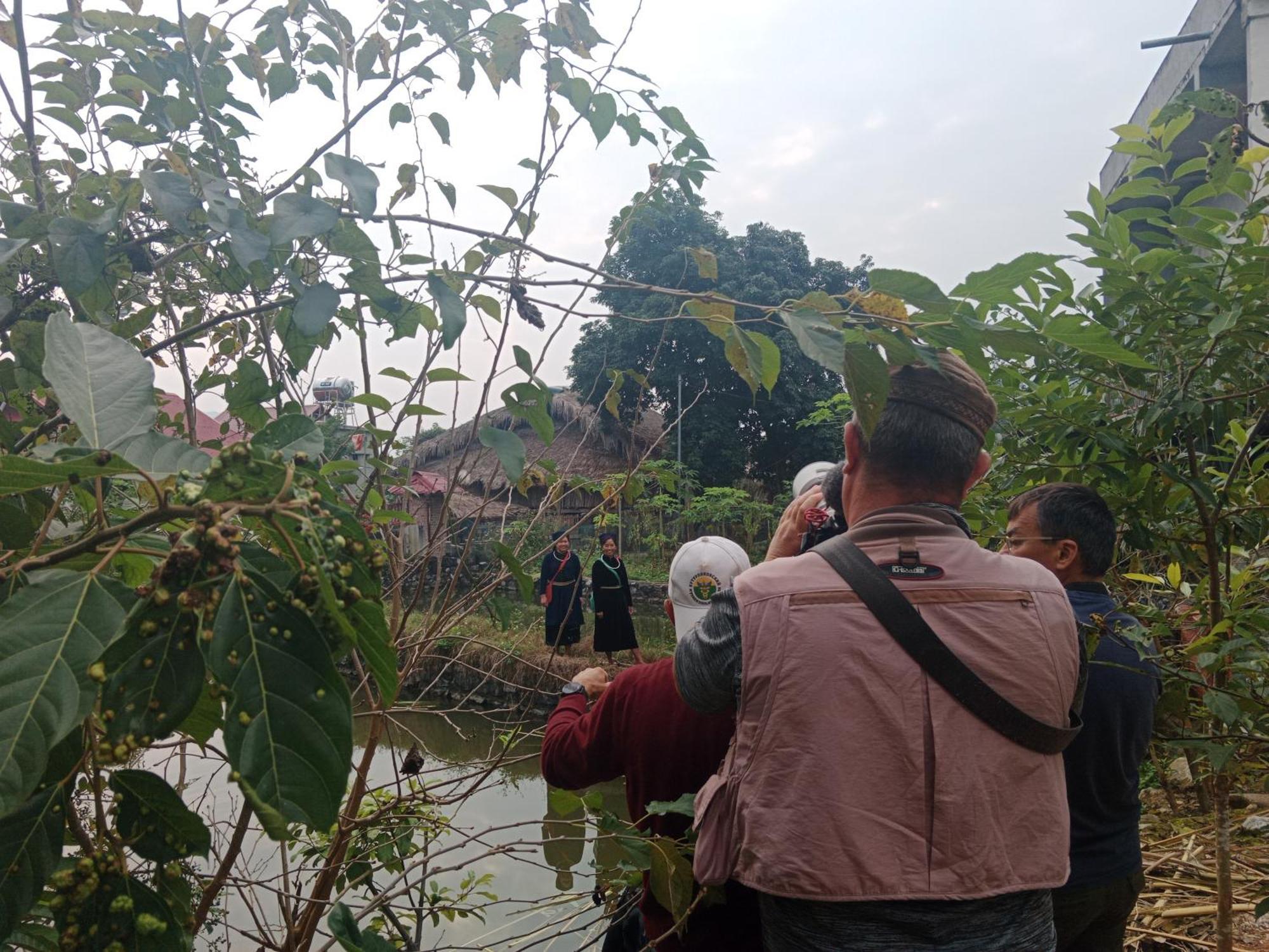 Yolo House And Loop Tours Hà Giang