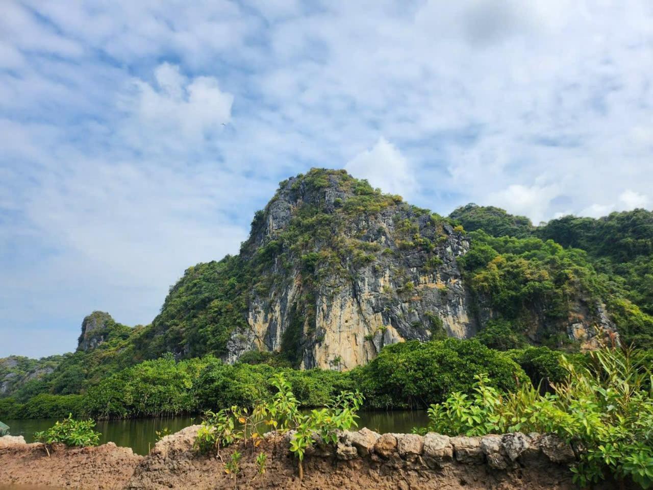 Aroma Cat Ba Sea View * Chan Chau
