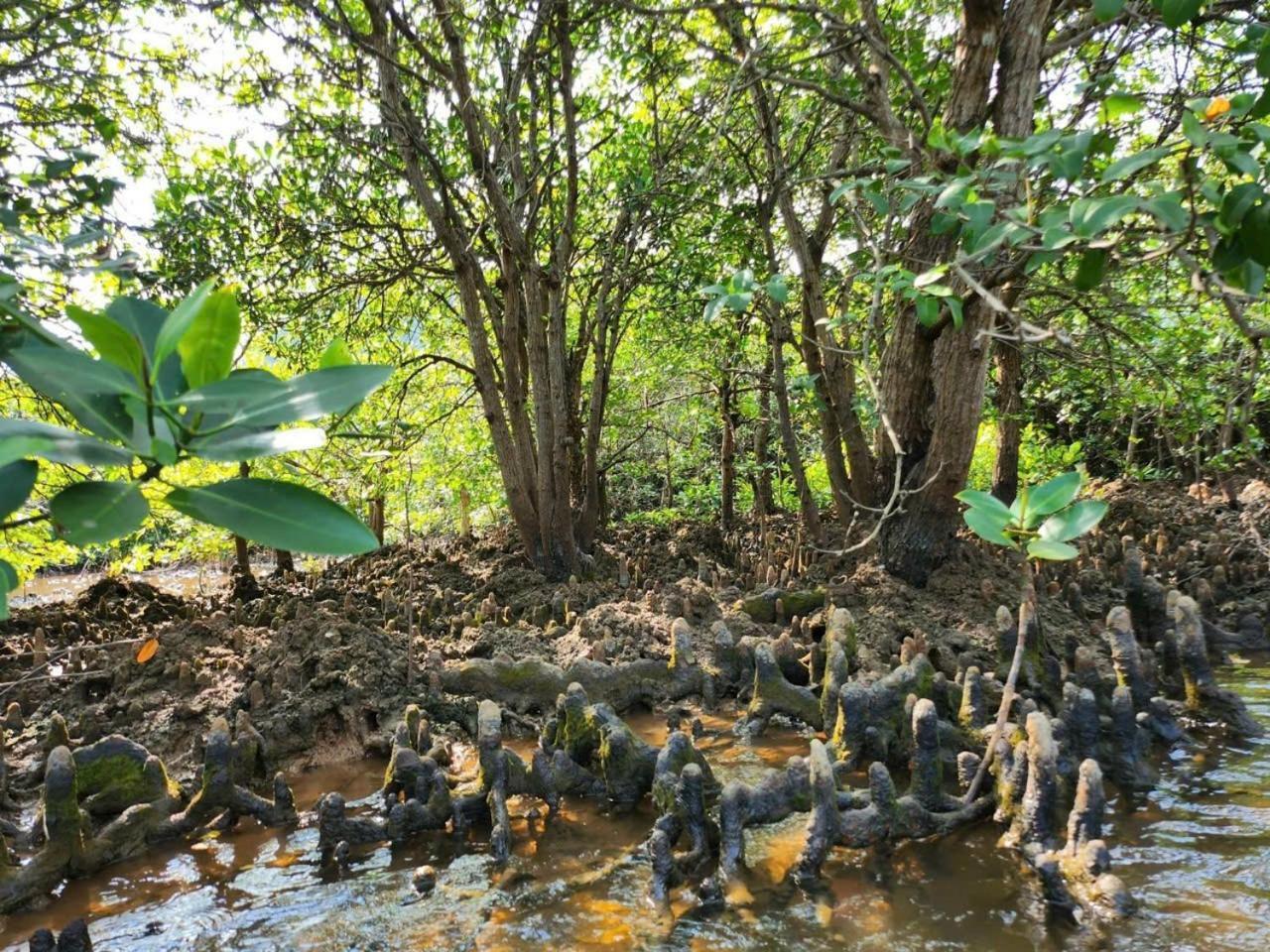 Khách sạn Aroma Cat Ba Sea View Chan Chau