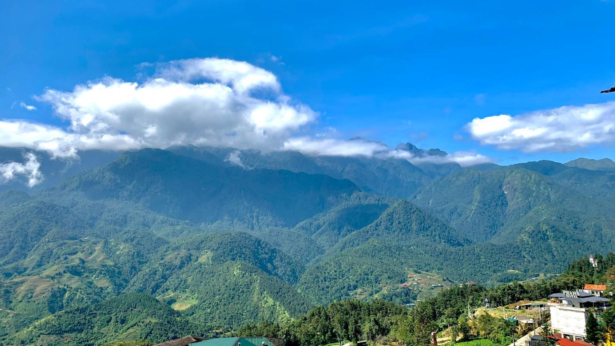 Tiger Sapa
