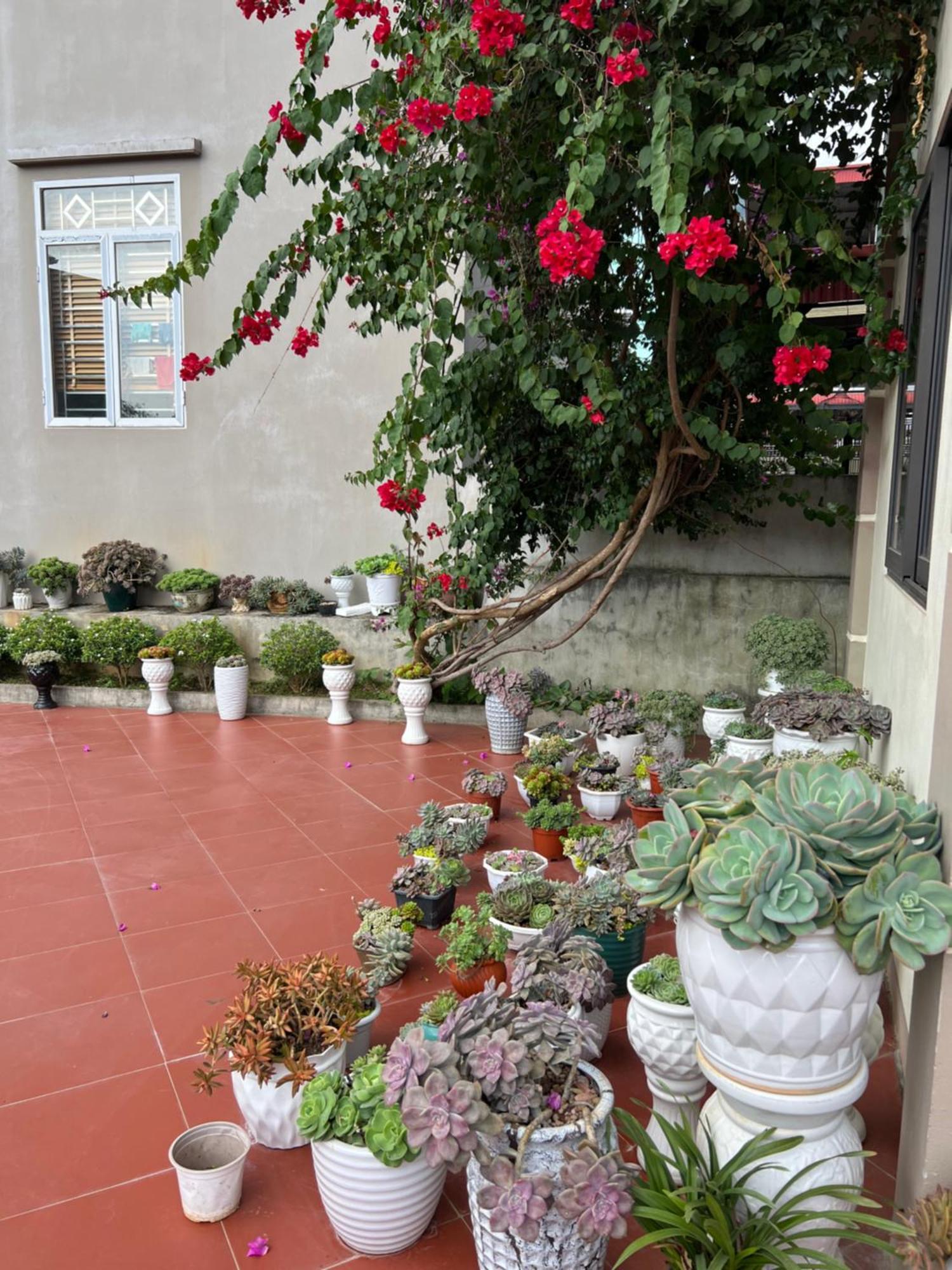 Bed & Breakfast Nha Nghi Ngoc Long *