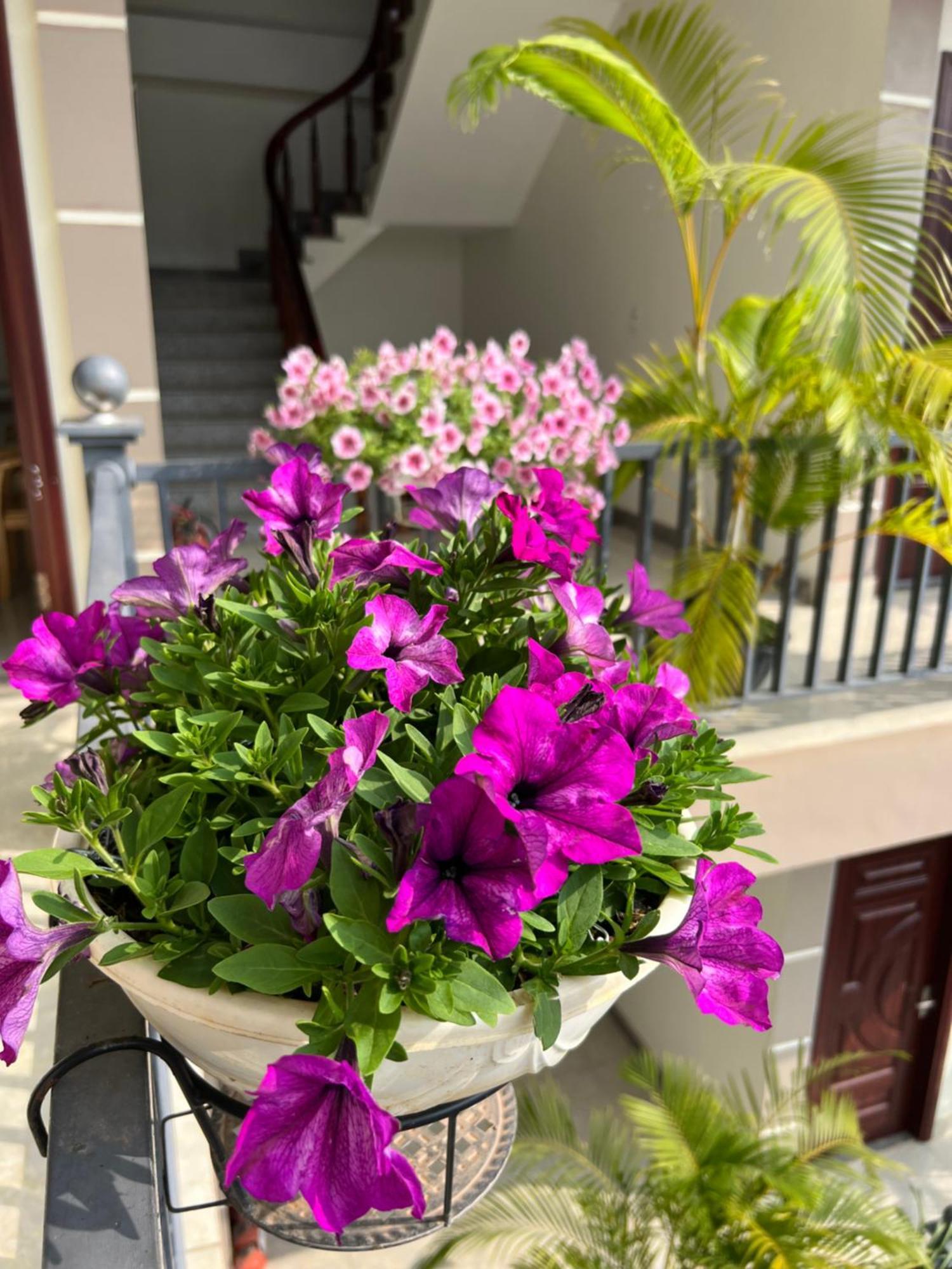 Nha Nghi Ngoc Long