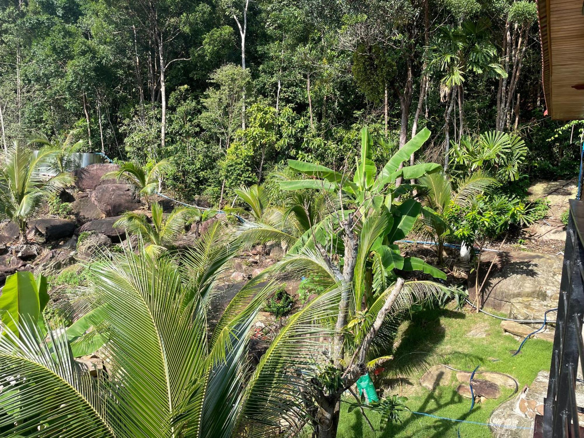 Villa Ong Vinh House - Living Among Nature ! *