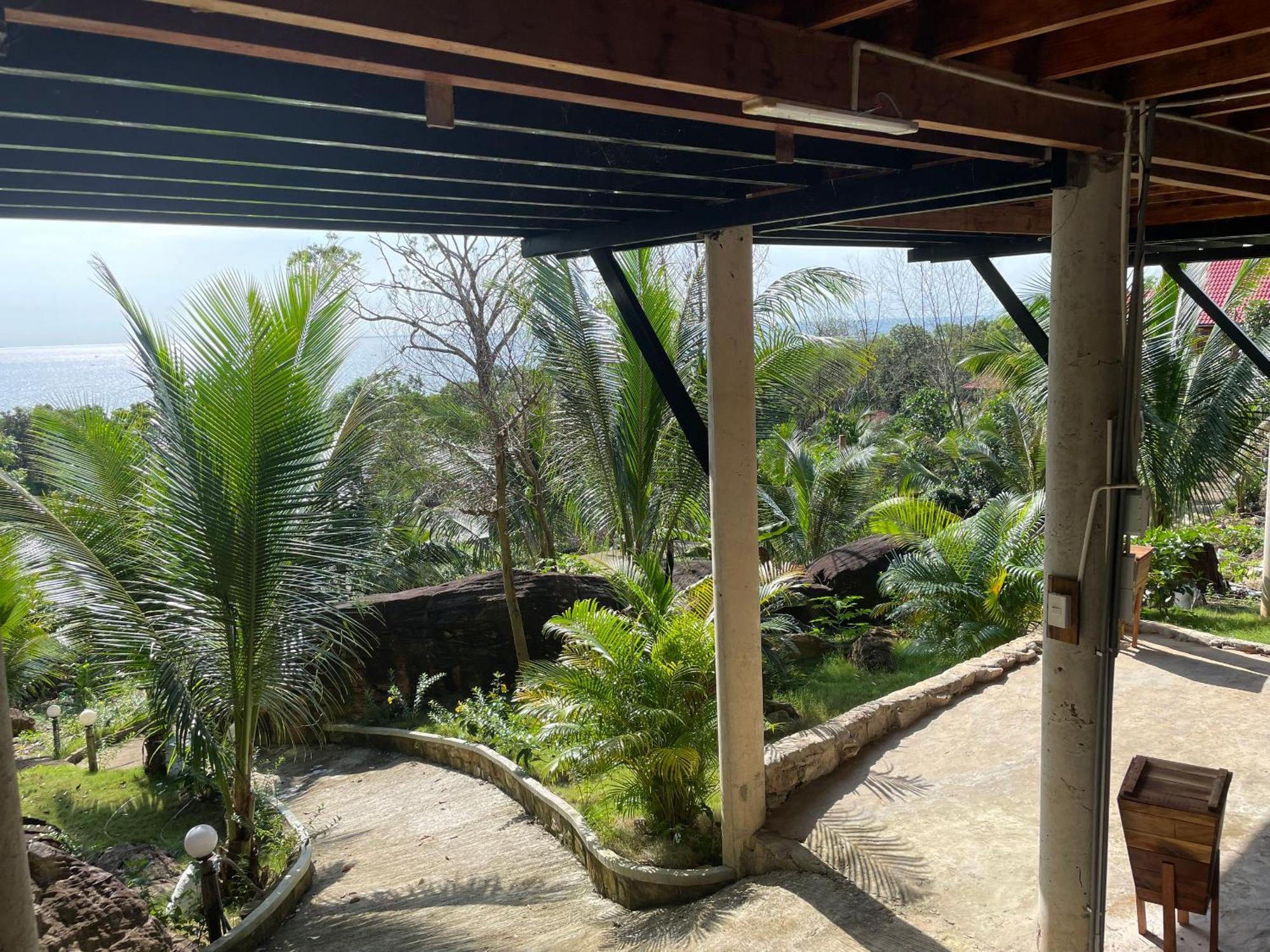 Ong Vinh House - Living Among Nature !