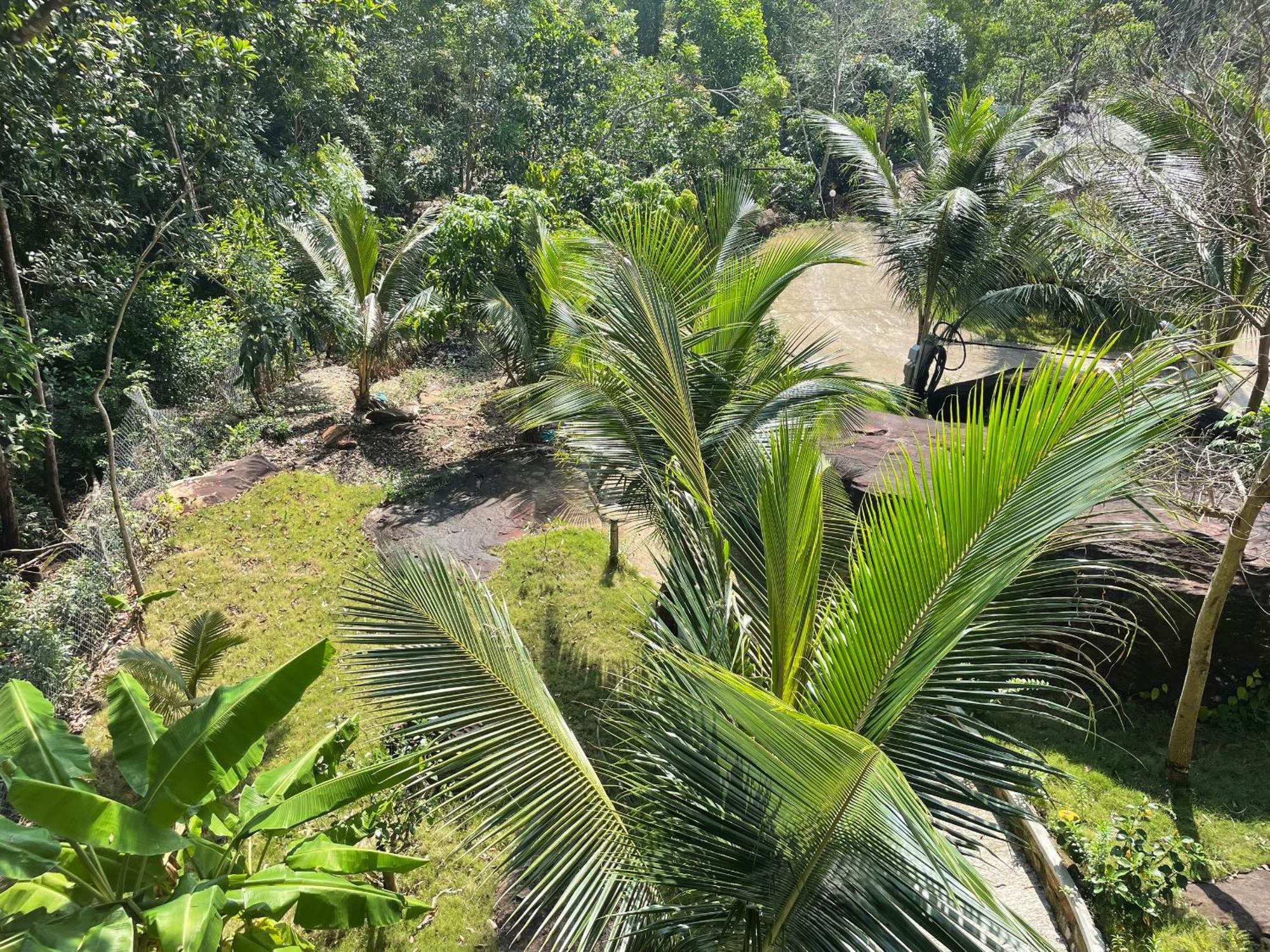 Ong Vinh House - Living Among Nature ! Villa Phu Quoc
