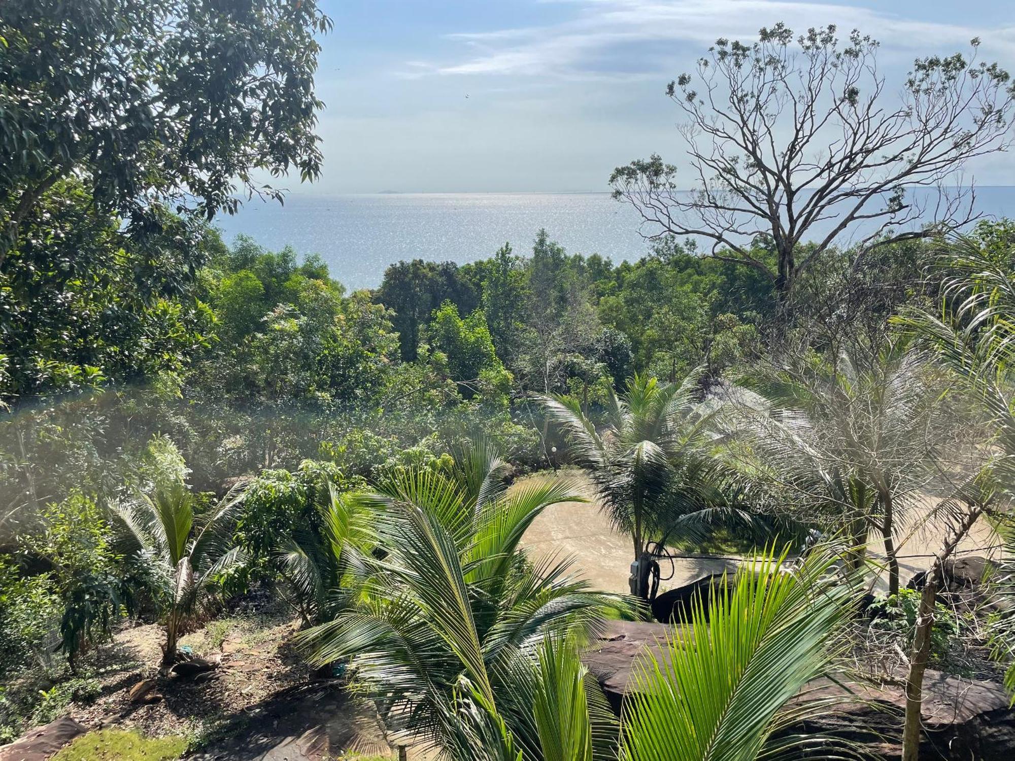 Ong Vinh House - Living Among Nature ! Villa