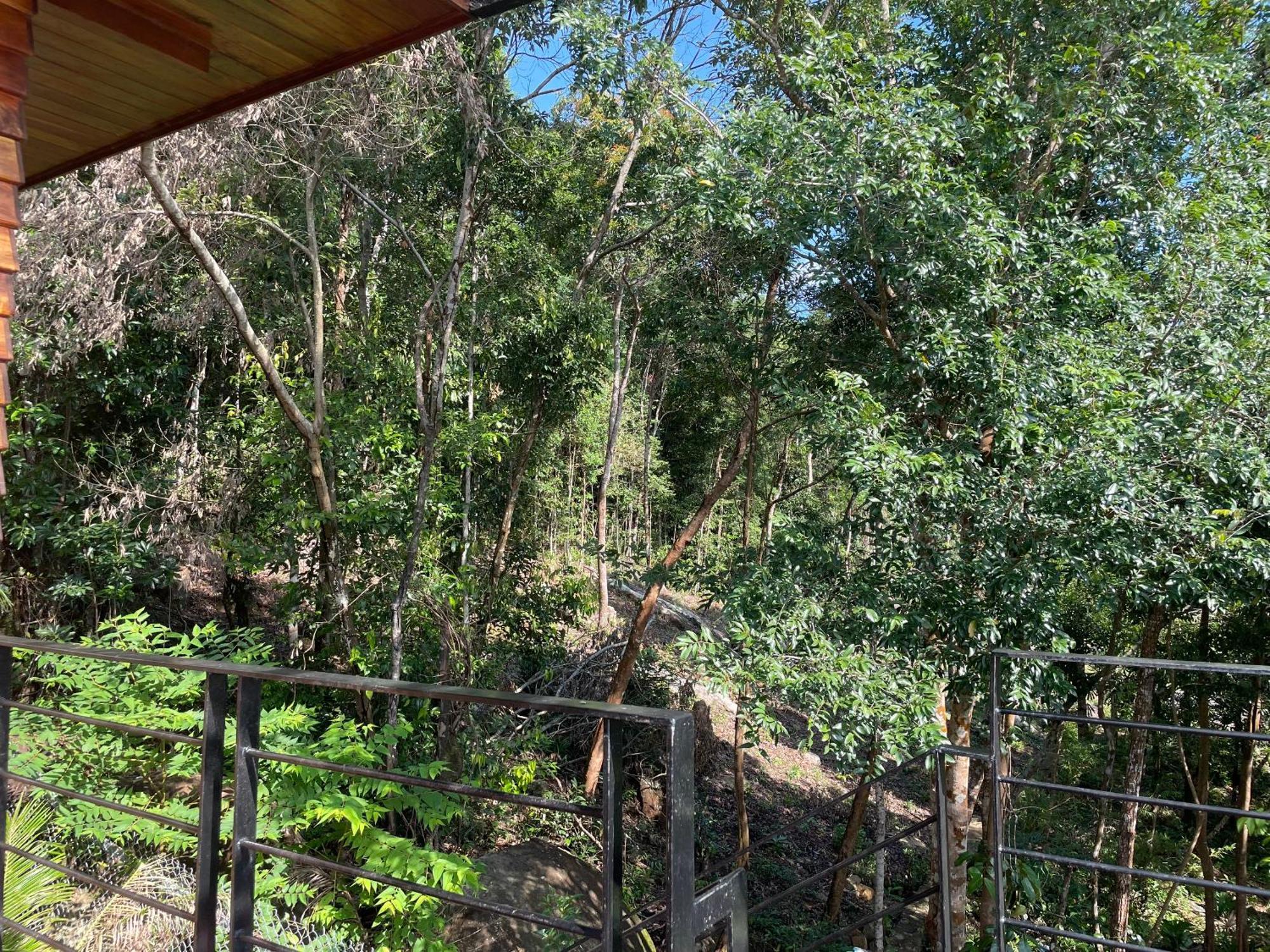 Ong Vinh House - Living Among Nature ! *