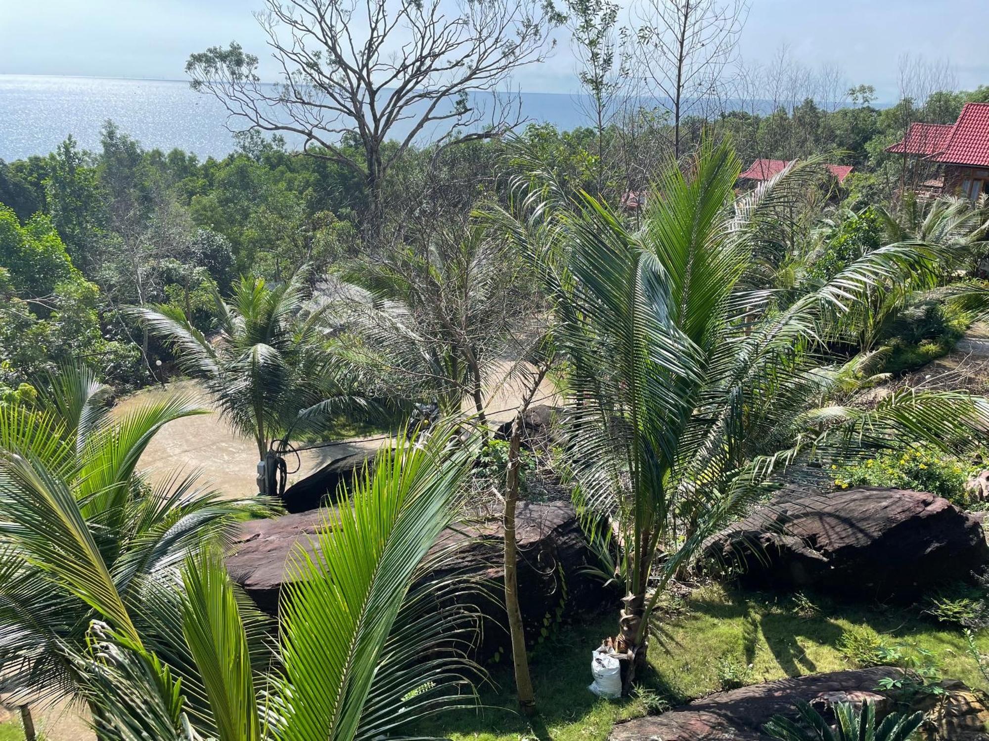 Ong Vinh House - Living Among Nature ! Villa *
