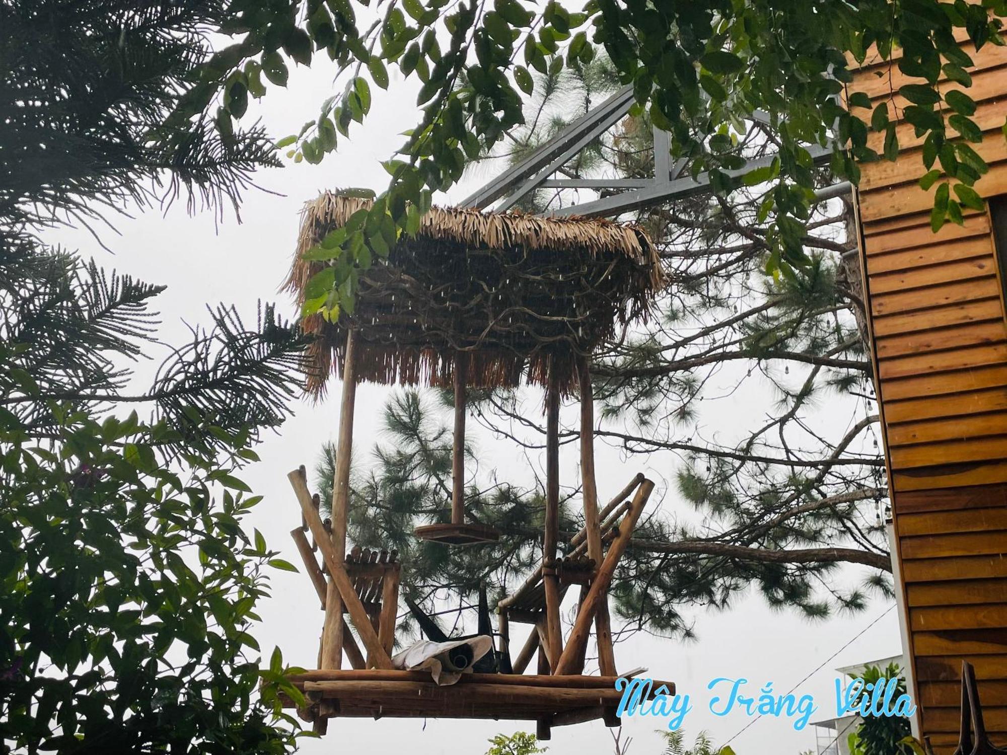Trang 3* Đà Lạt