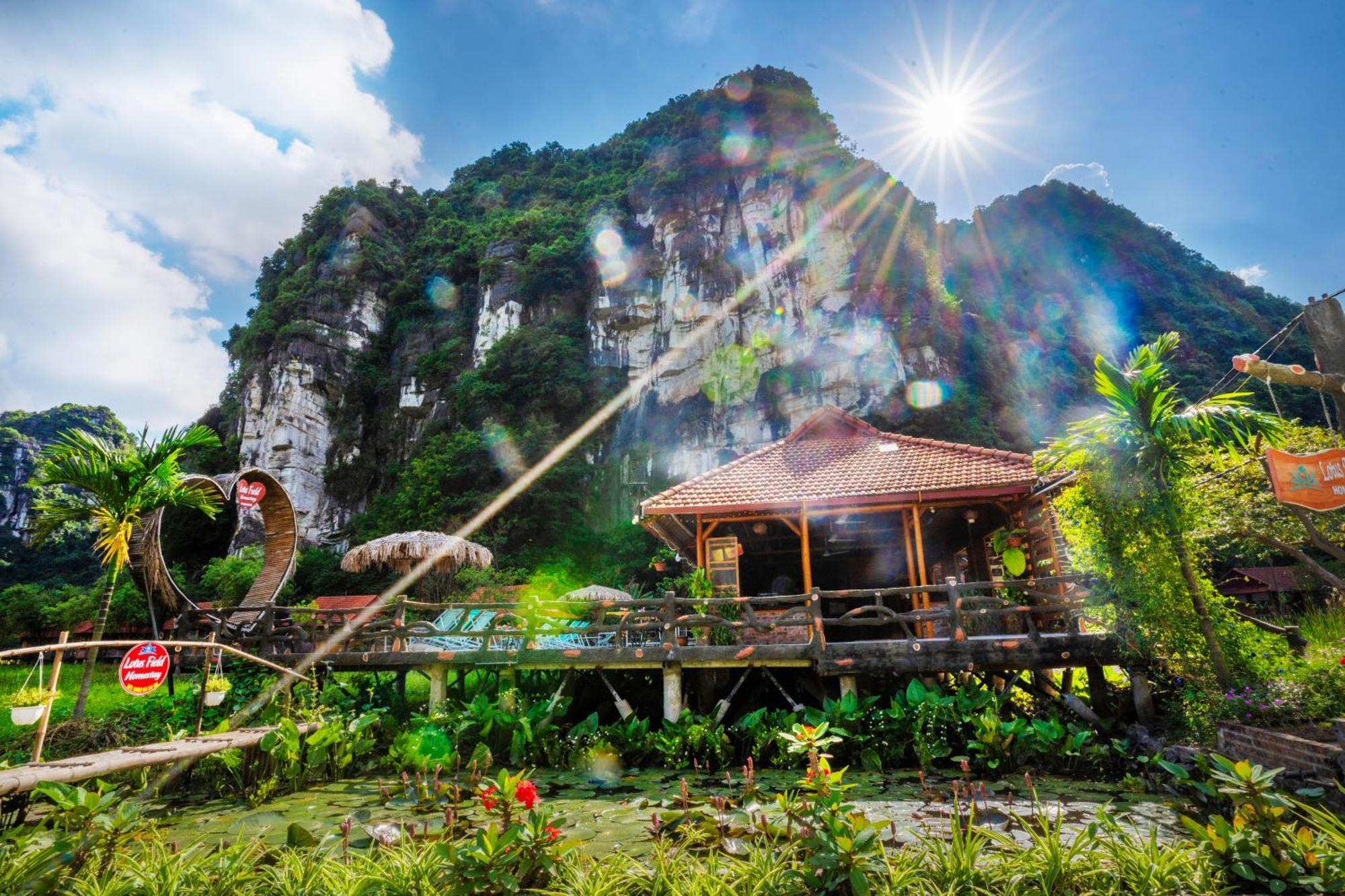 Lotus Field Ninh Binh