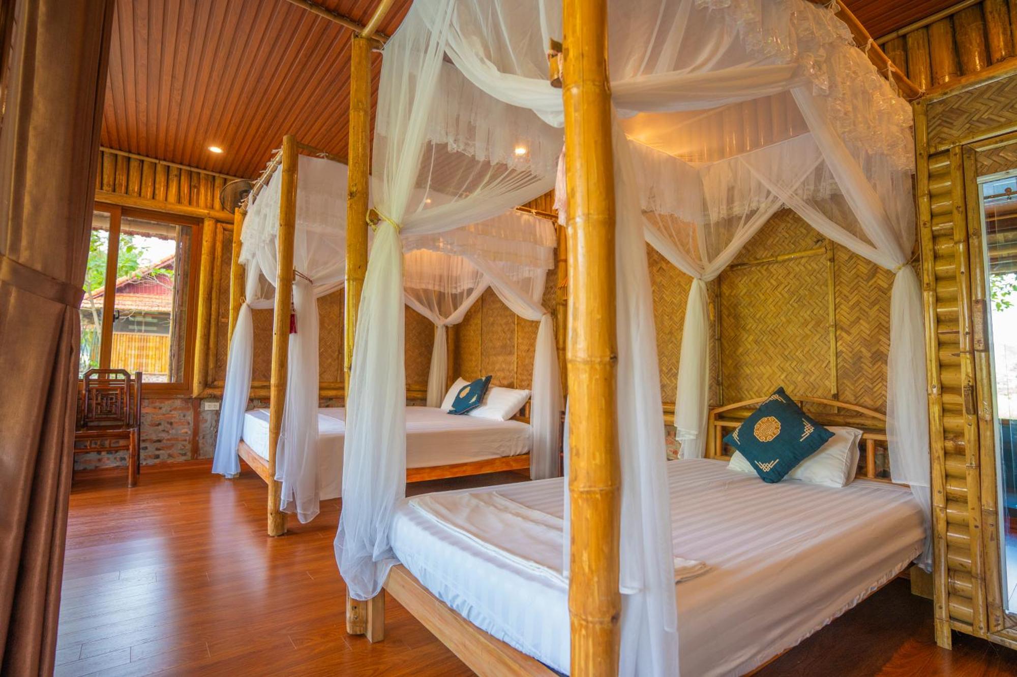 Lotus Field Homestay Ninh Binh