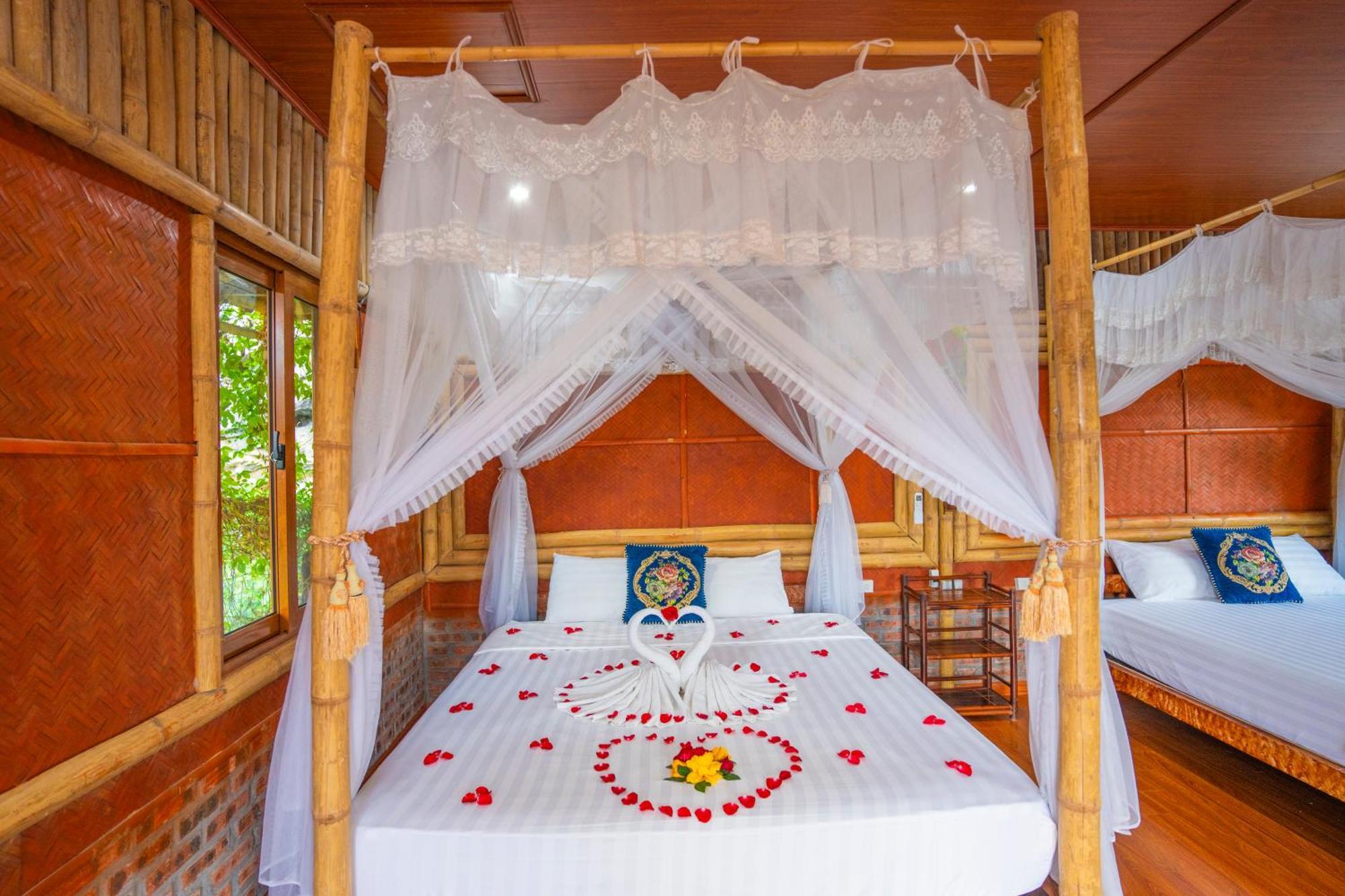 Lotus Field Homestay *