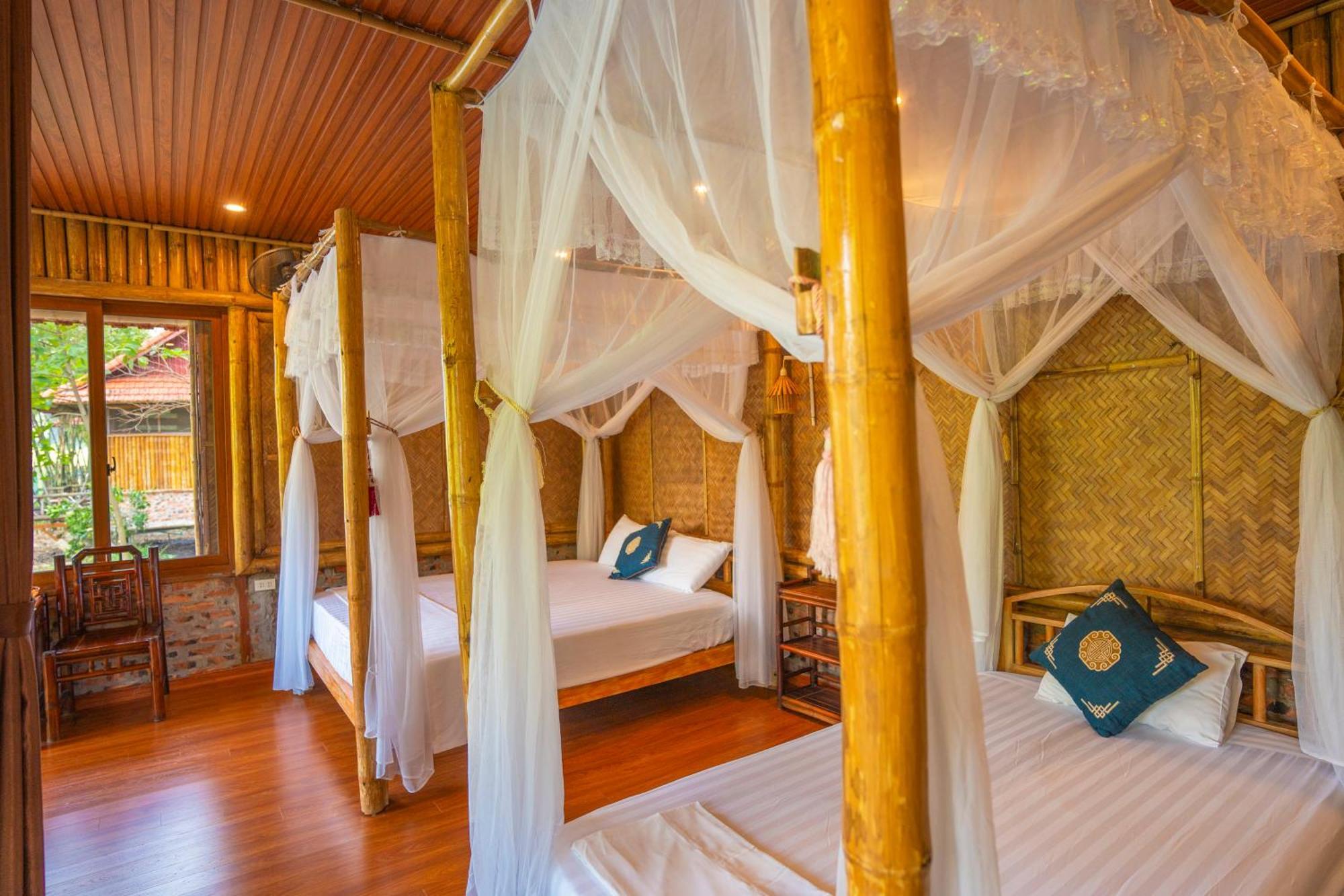 Lotus Field Homestay Ninh Binh