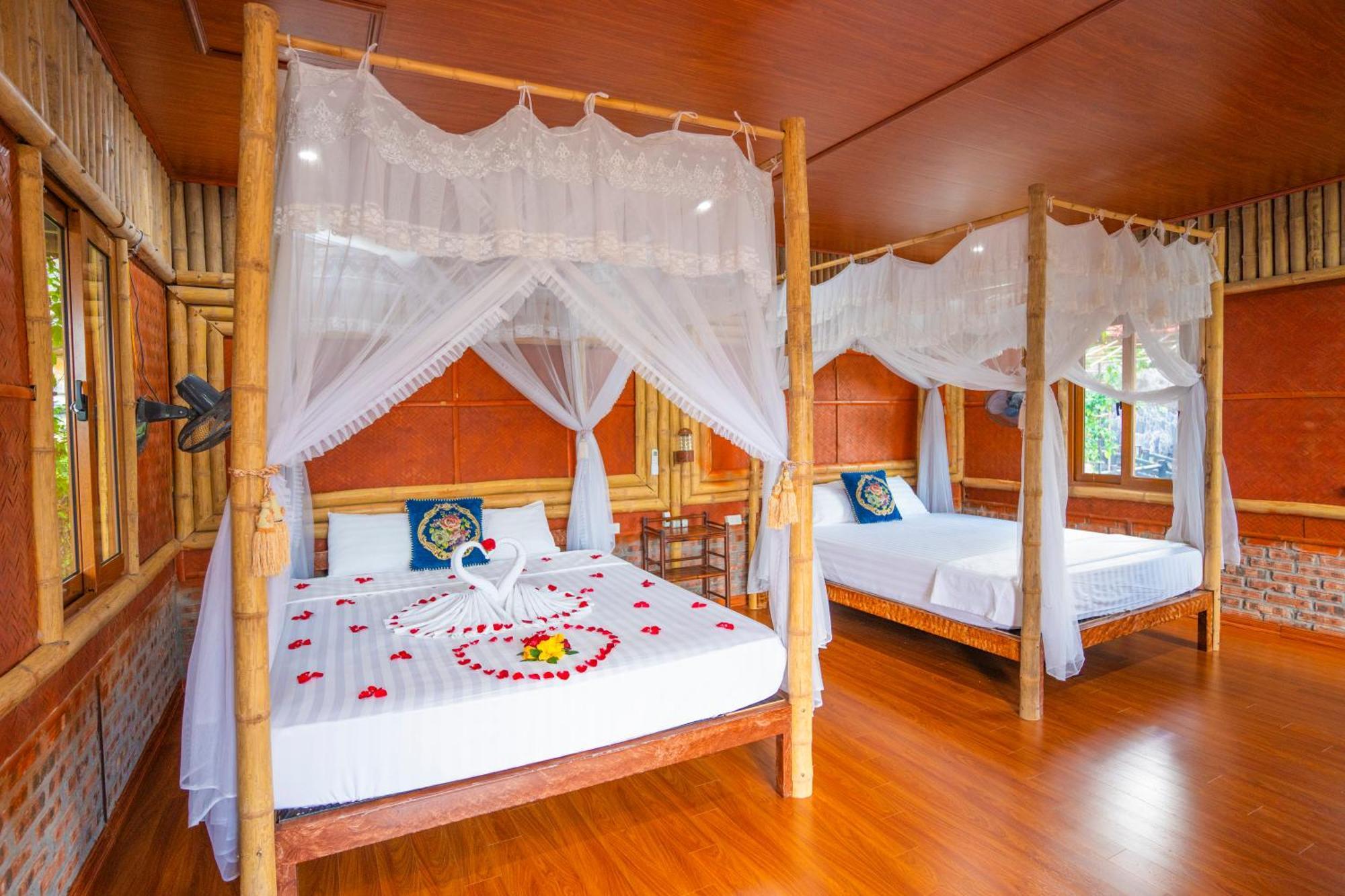 Lotus Field Homestay *