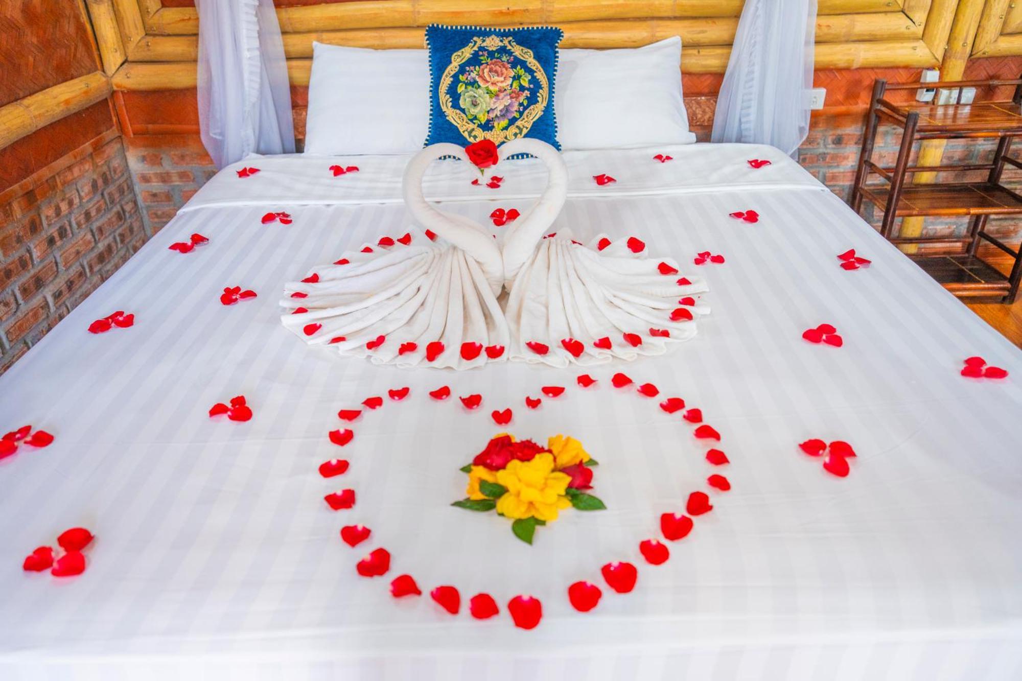 Lotus Field Homestay *