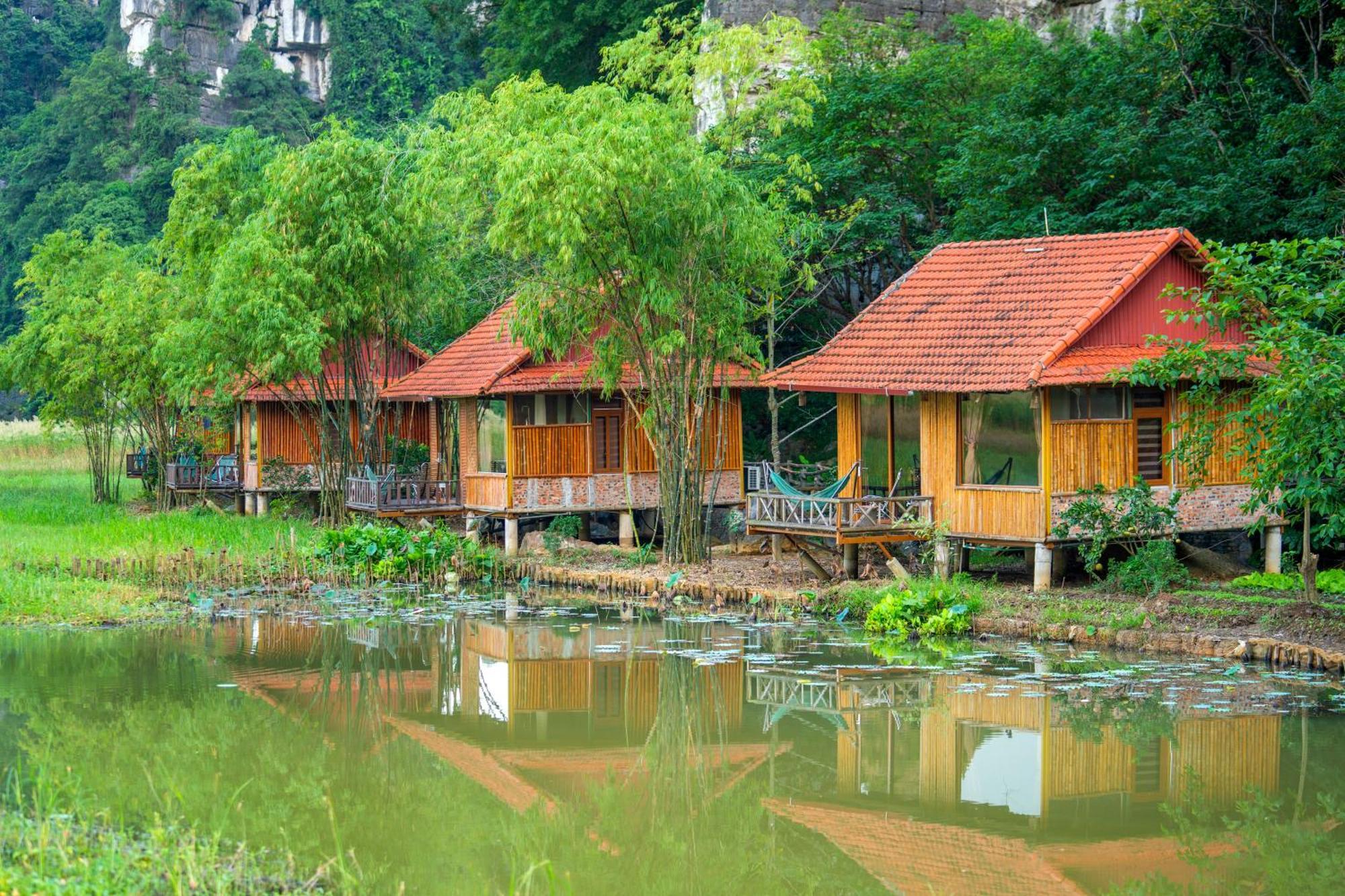 Lotus Field Homestay *