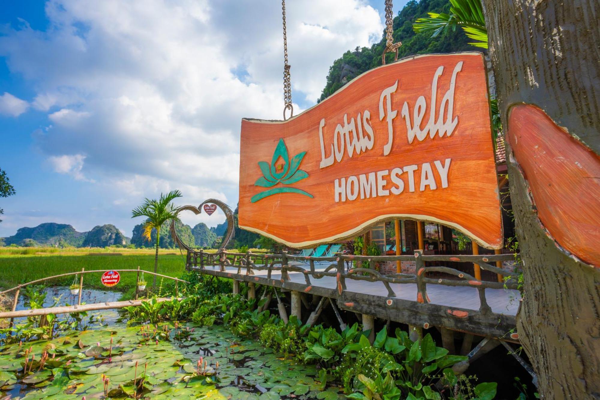 Lotus Field Homestay *