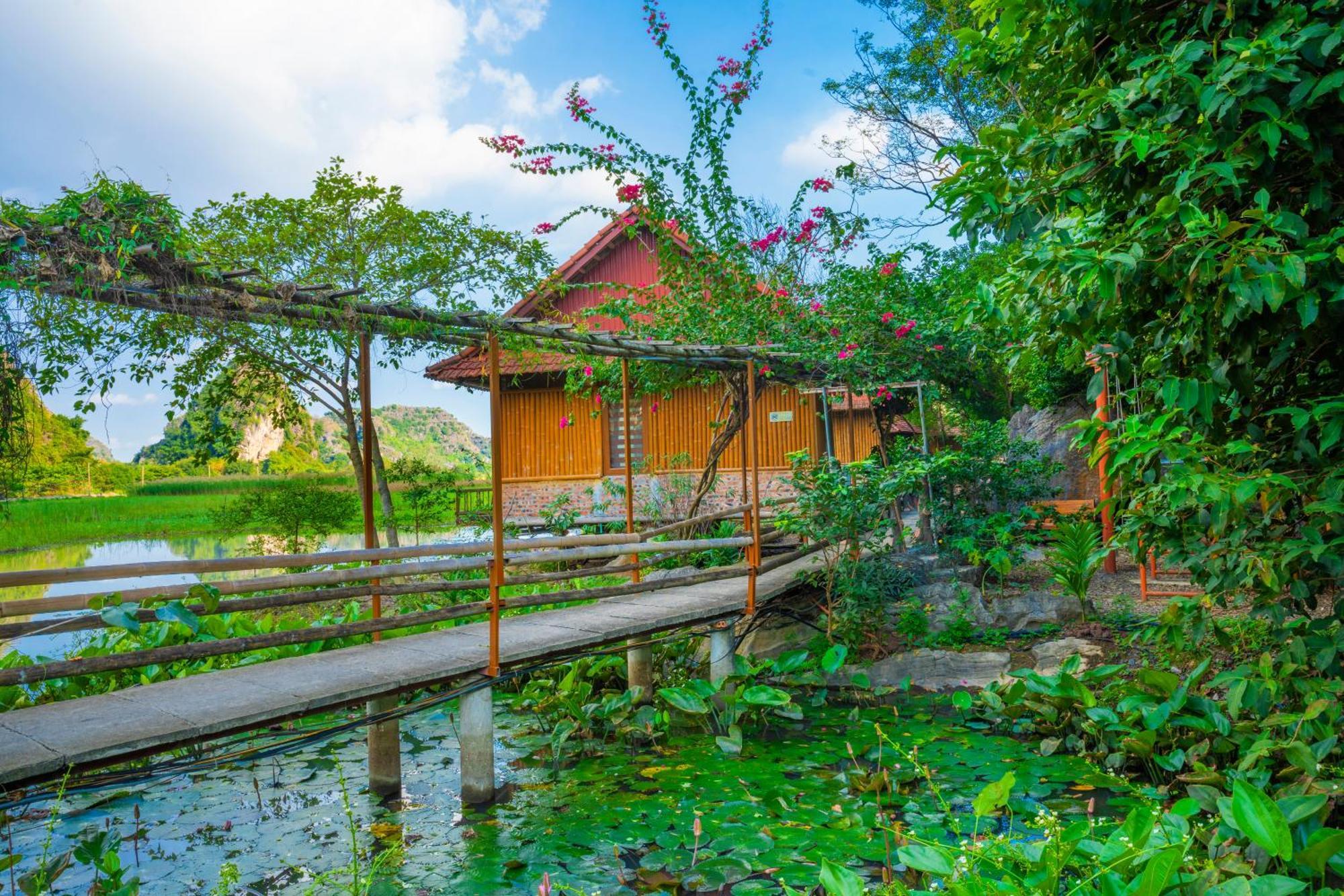 Lotus Field Homestay Ninh Binh
