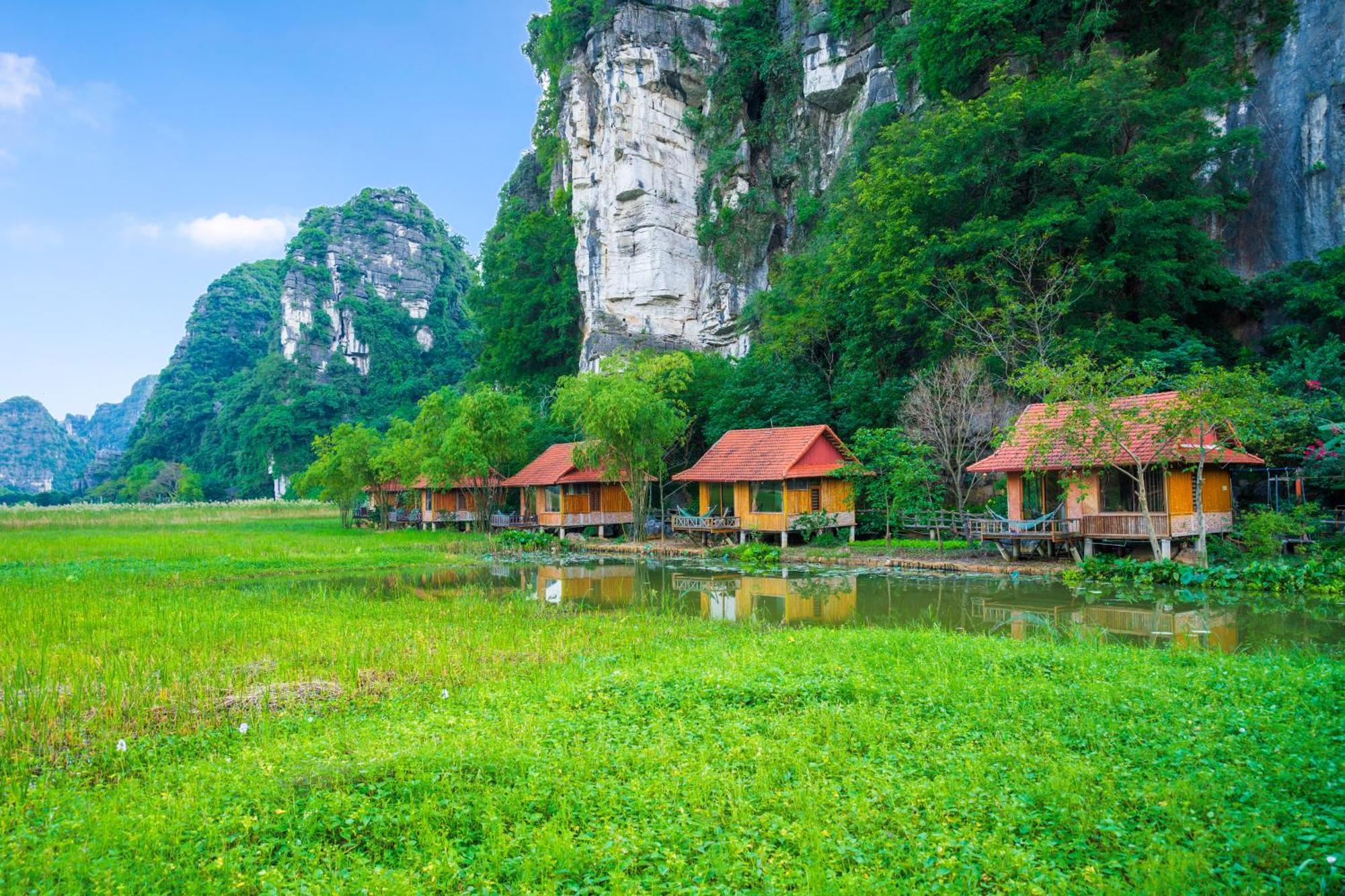 Homestay Lotus Field *