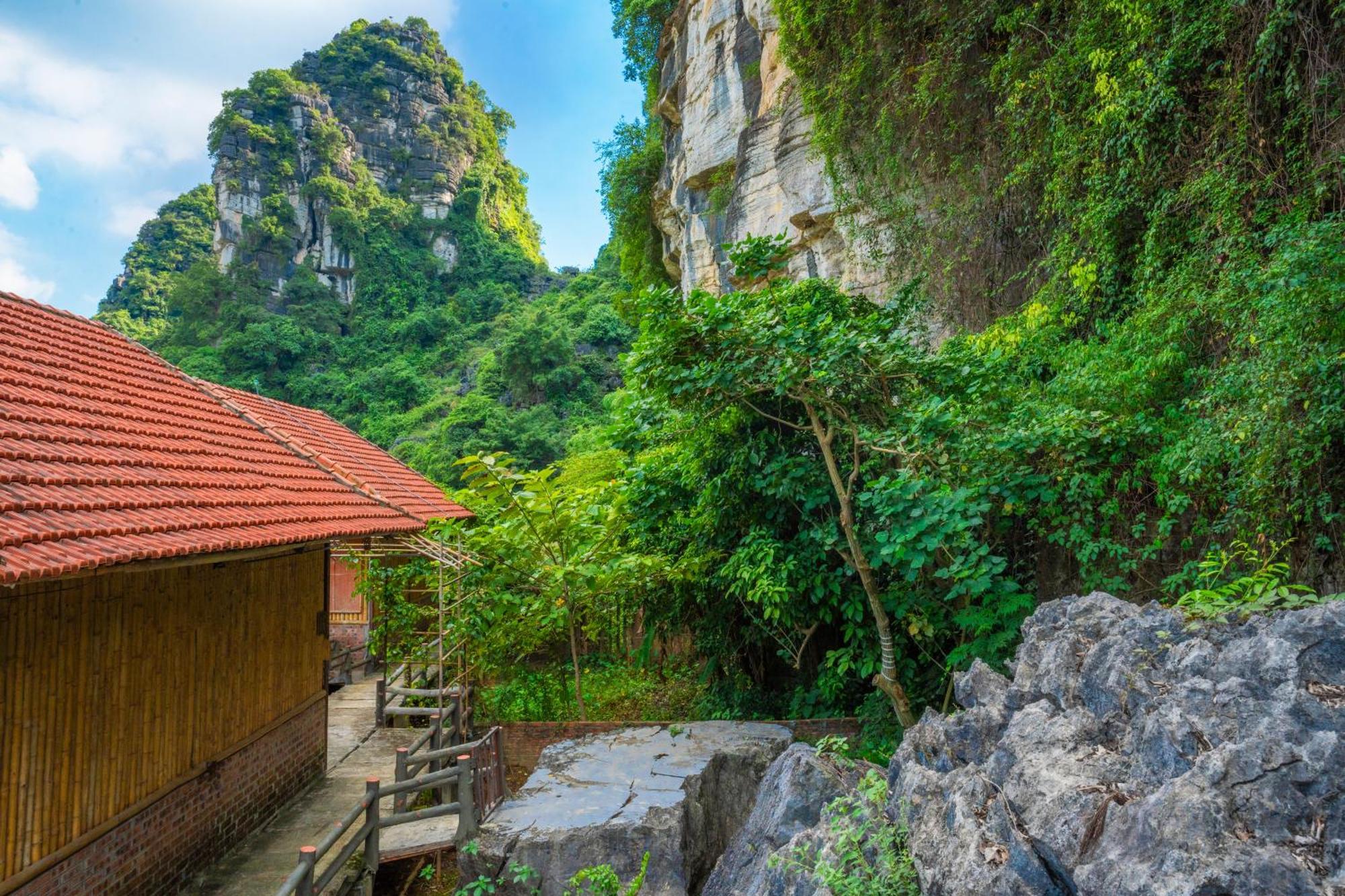 Lotus Field * Ninh Binh