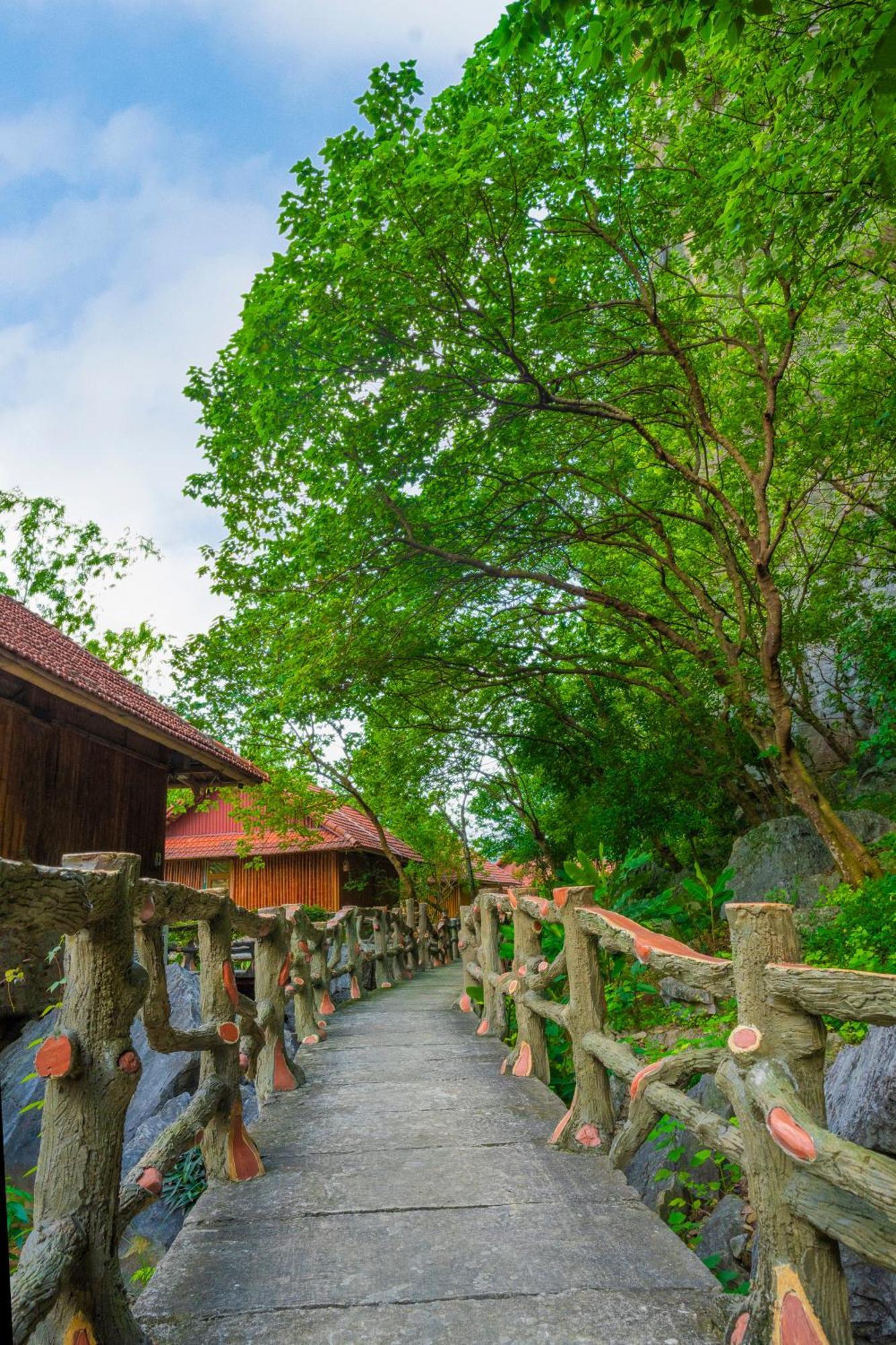 Lotus Field Homestay