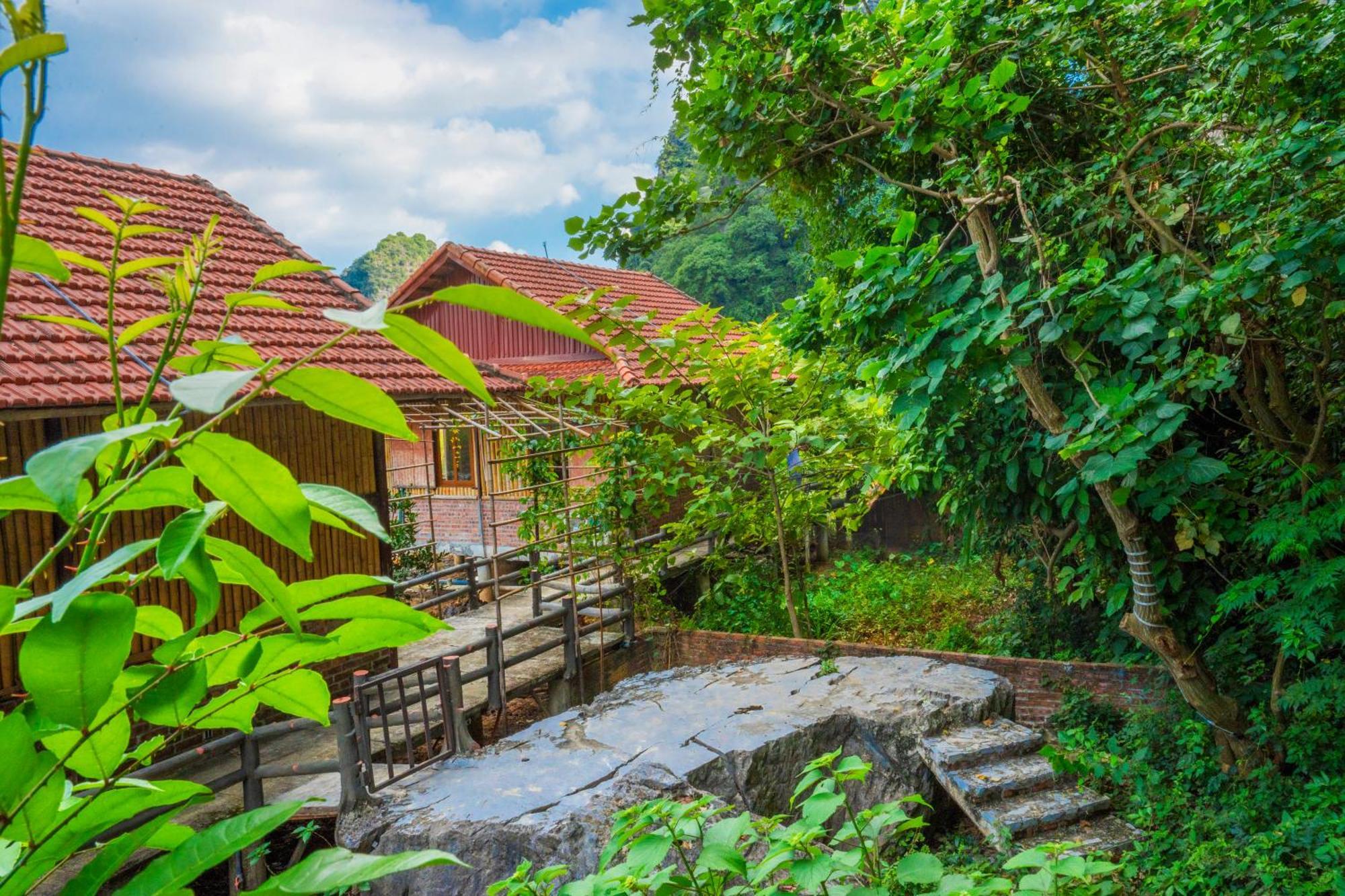 Homestay Lotus Field *
