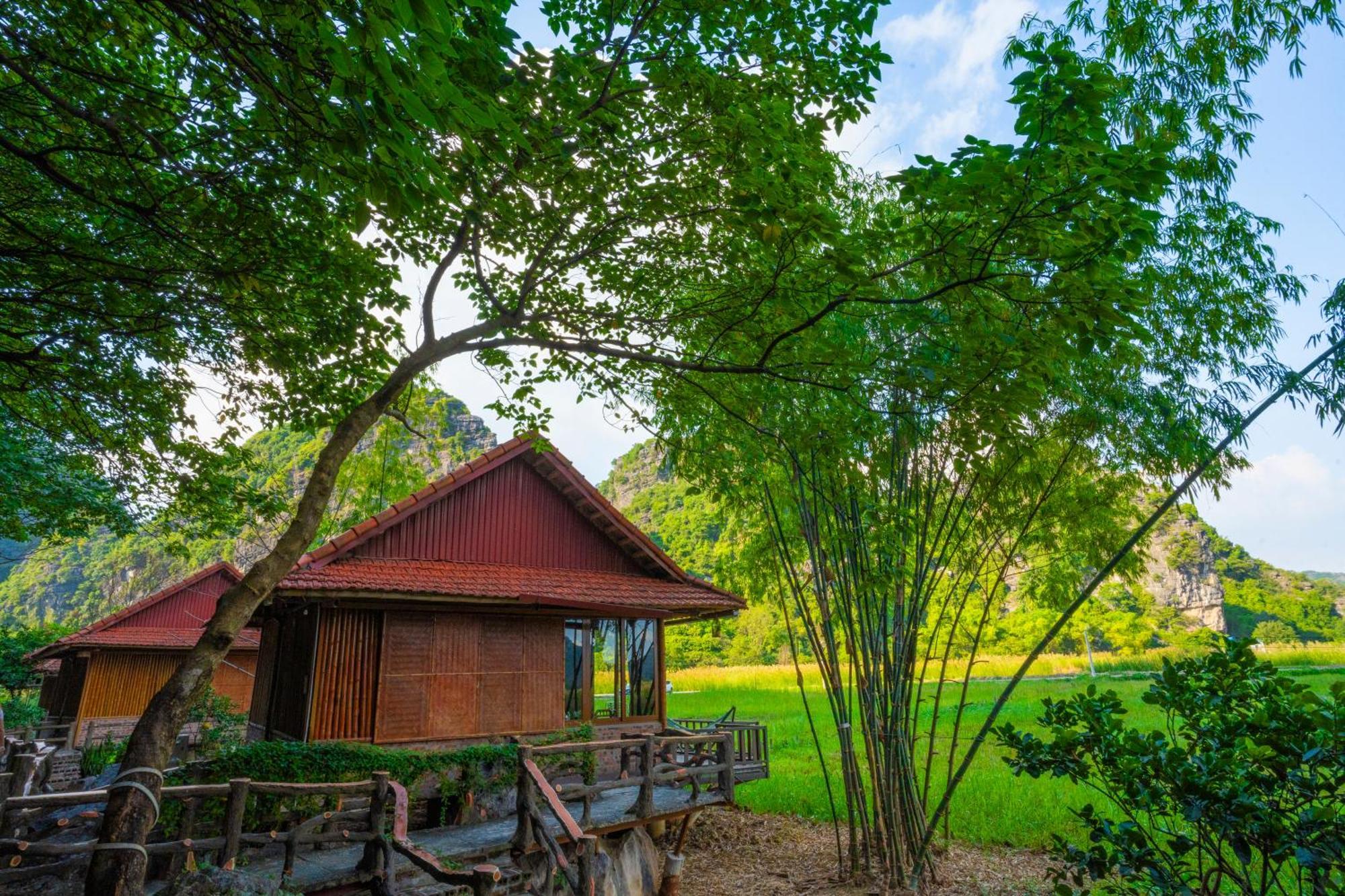 Lotus Field Homestay Ninh Binh