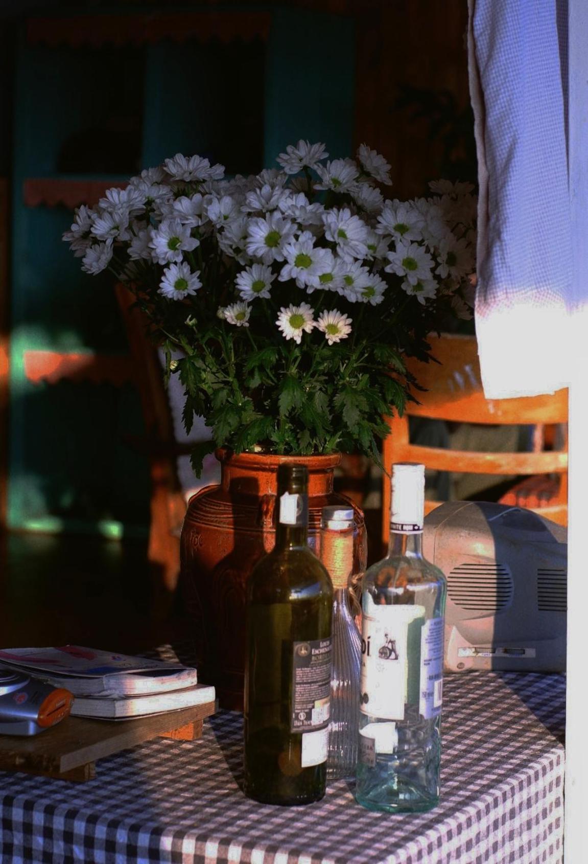 Hillside House Homestay *