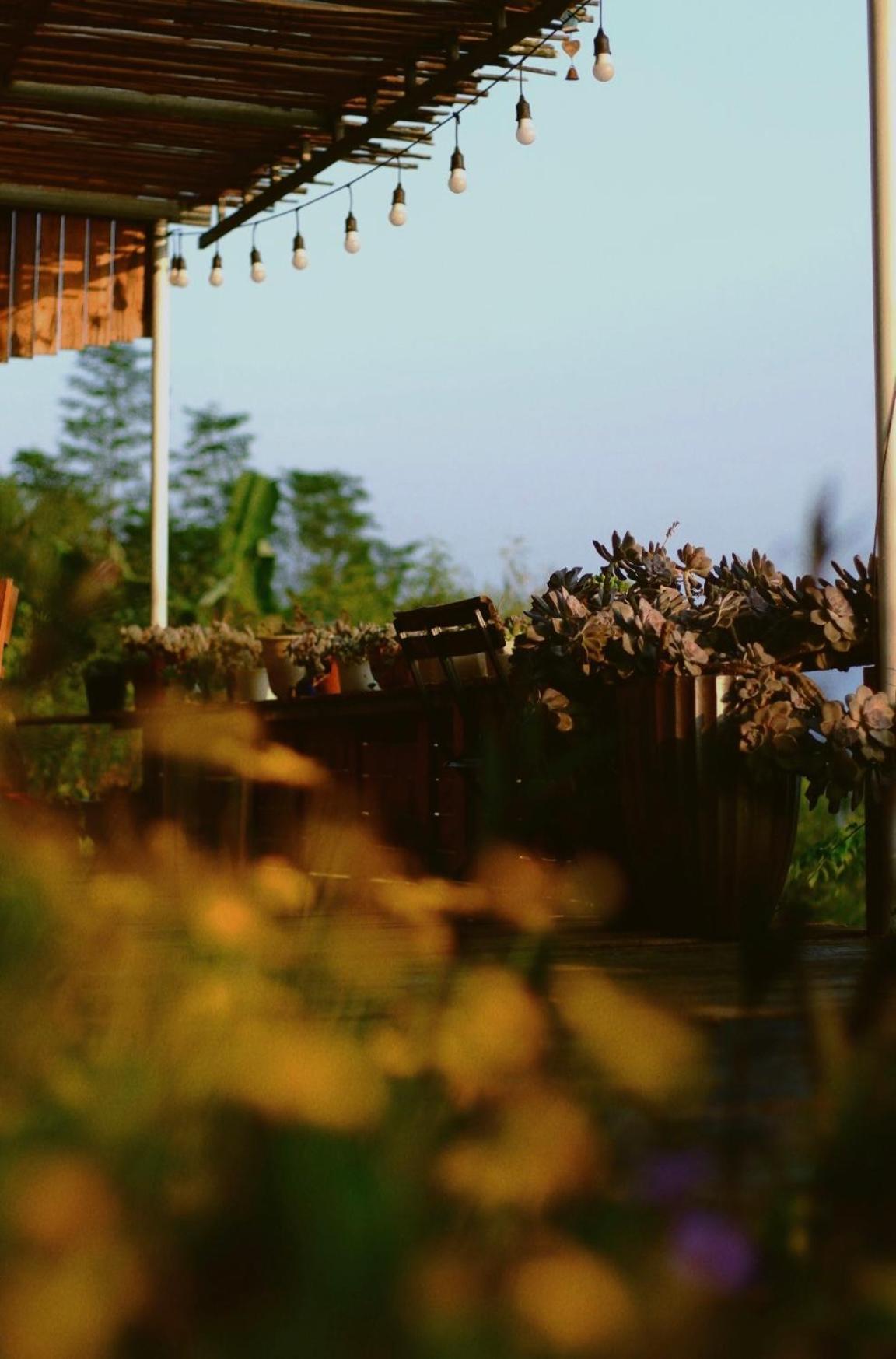 Hillside House Homestay *