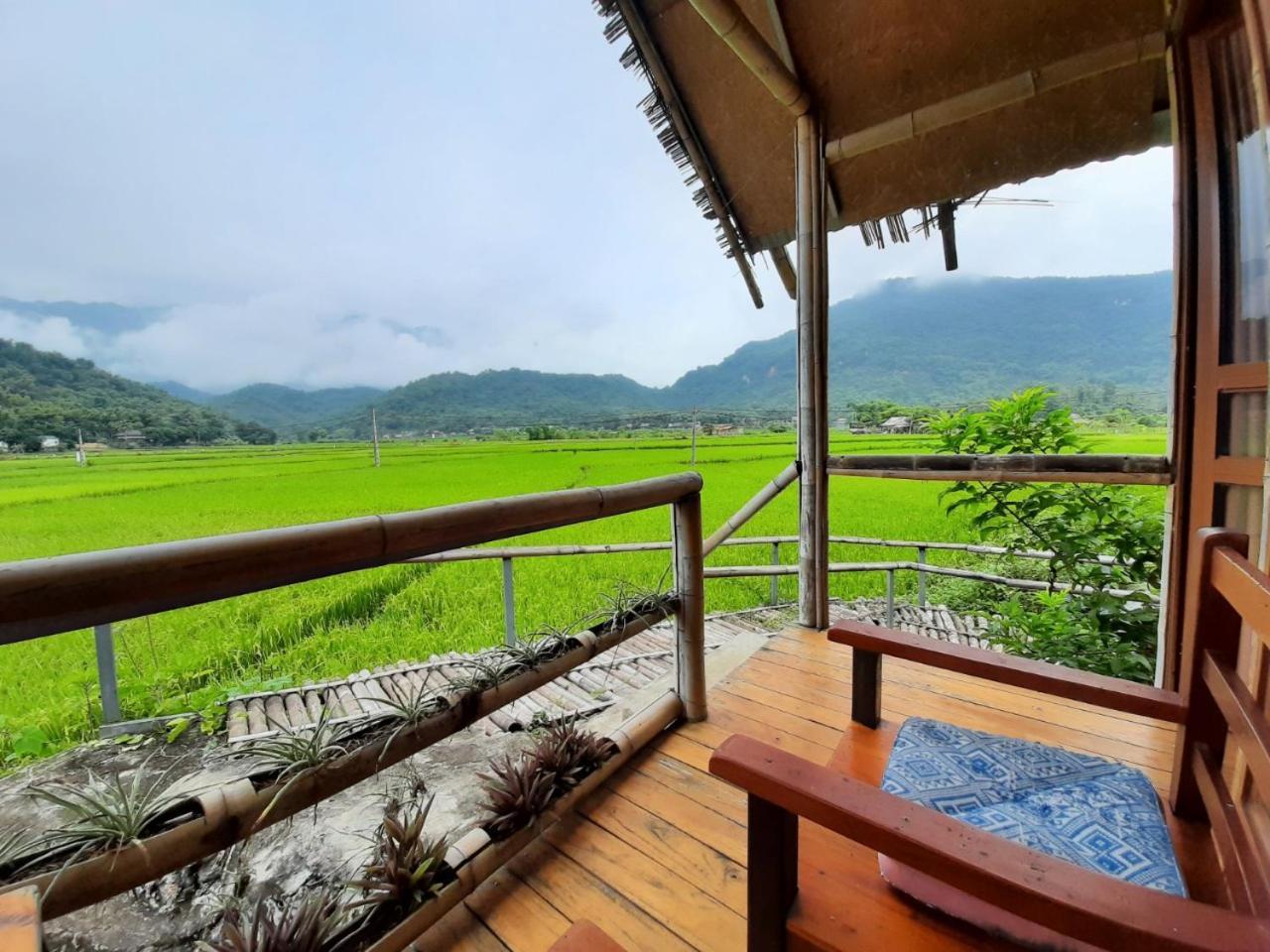 Ở trọ Little