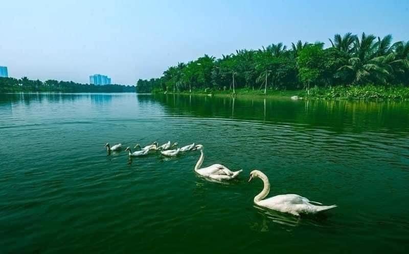 Ecopark Happy Haven Căn hộ *