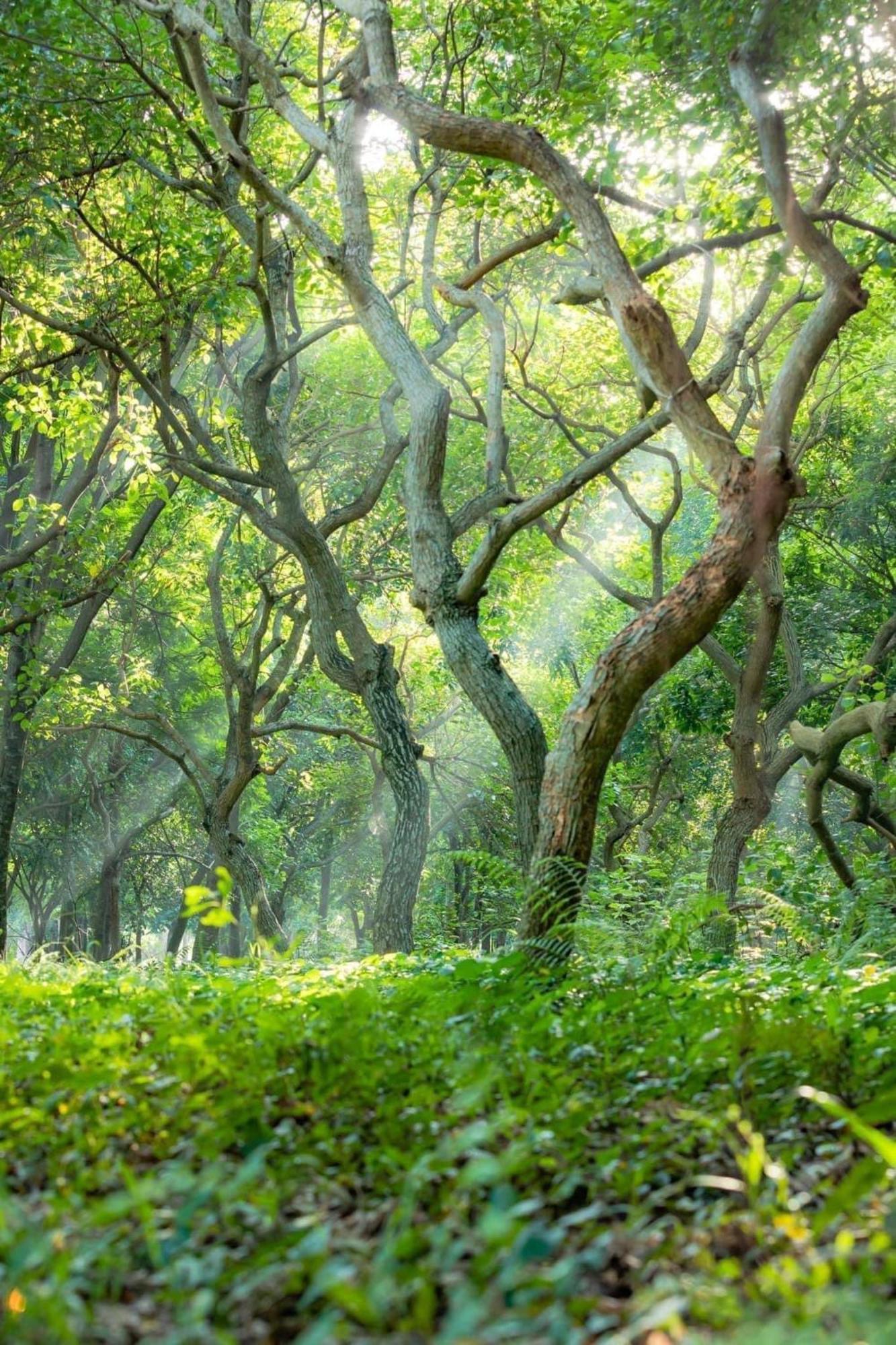 Ecopark Happy Haven *