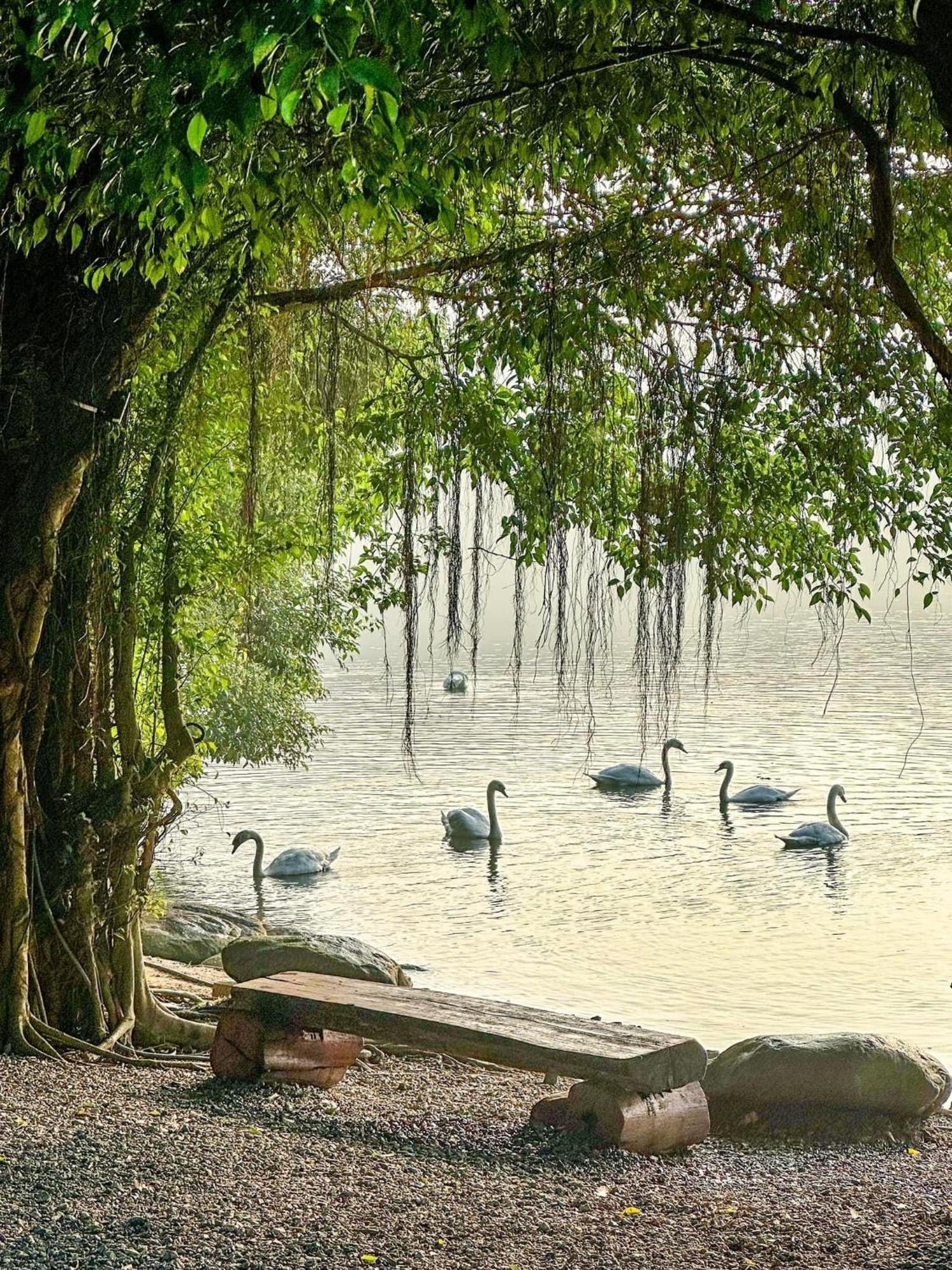 Căn hộ Ecopark Happy Haven *