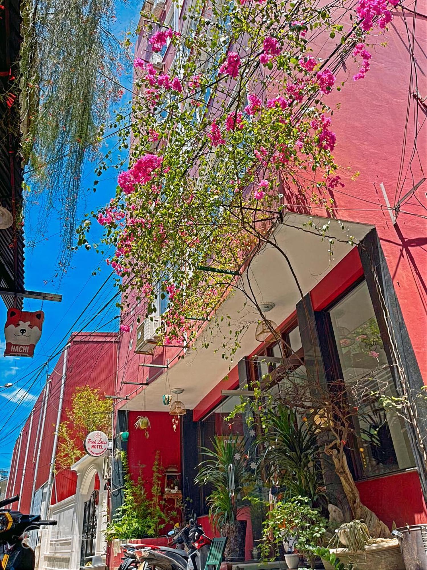 Hotel Pink Lotus Hue