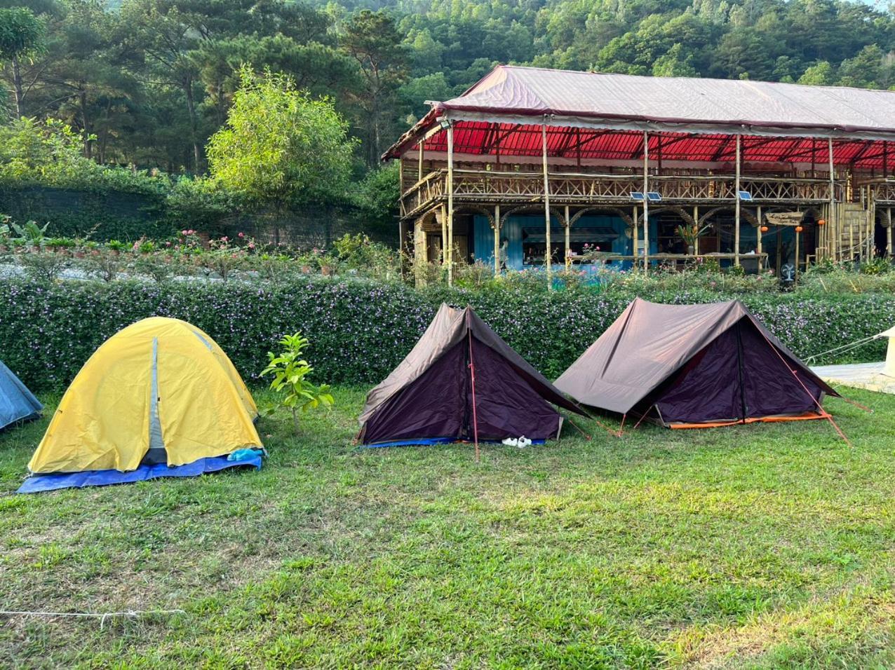 Luxury tent Lagom Village