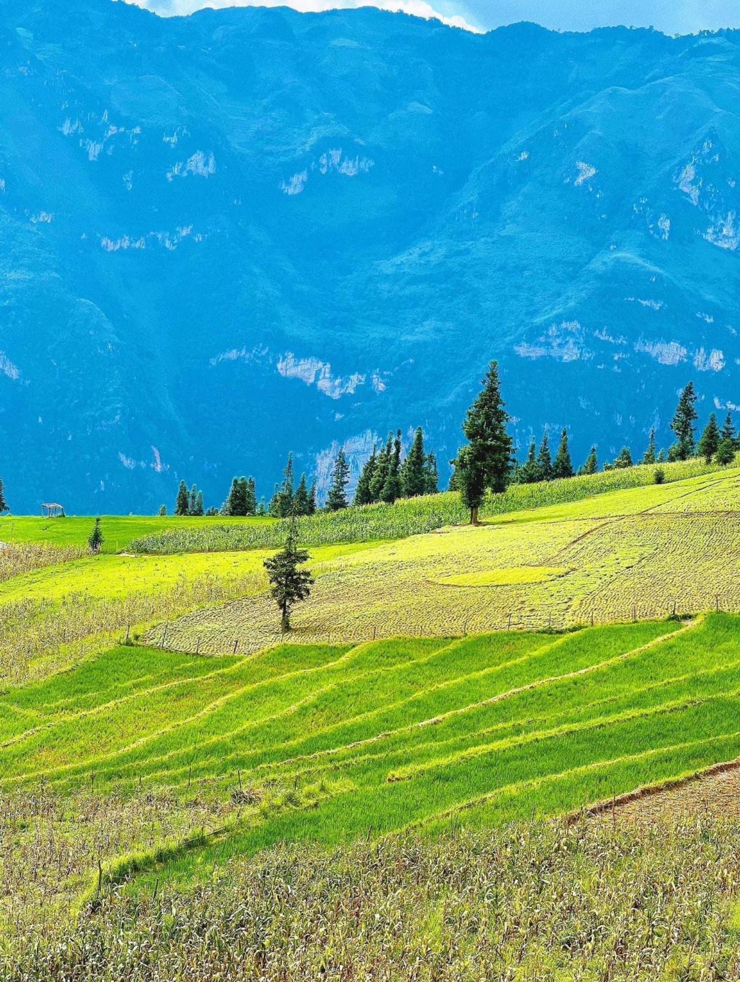 Hang Thuong - Motorbikes And Tour * Ha Giang
