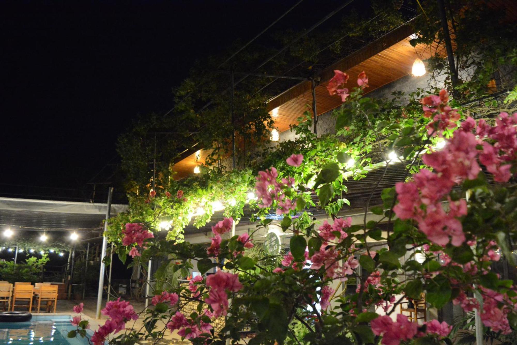 Homestay Jungle Boss Travel Phong Nha