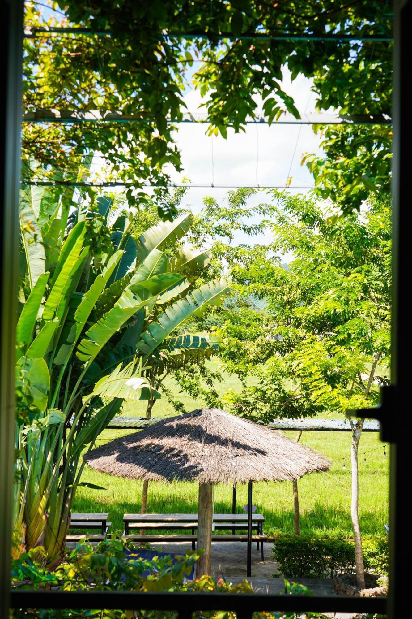 Homestay Jungle Boss Travel Phong Nha