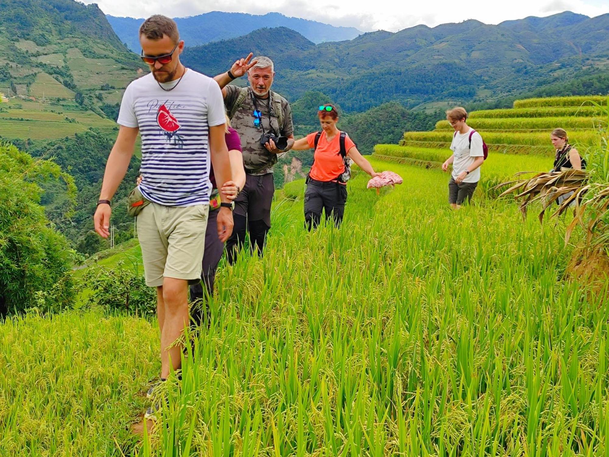 Lodge & Trekking *