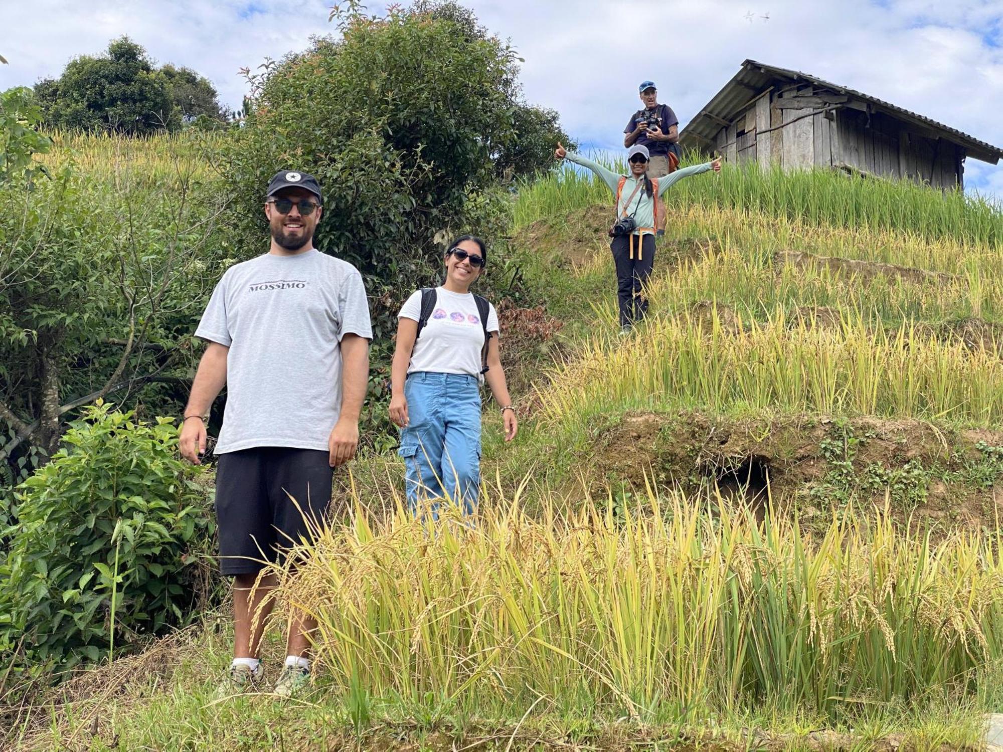 Lodge & Trekking