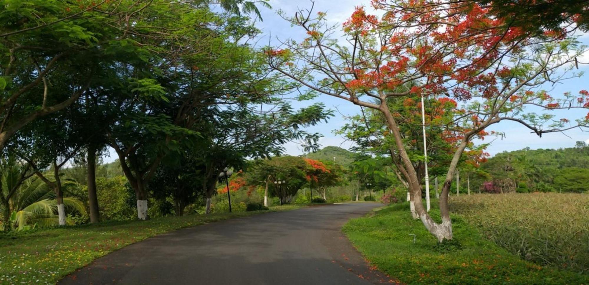 Resort Nui Thom