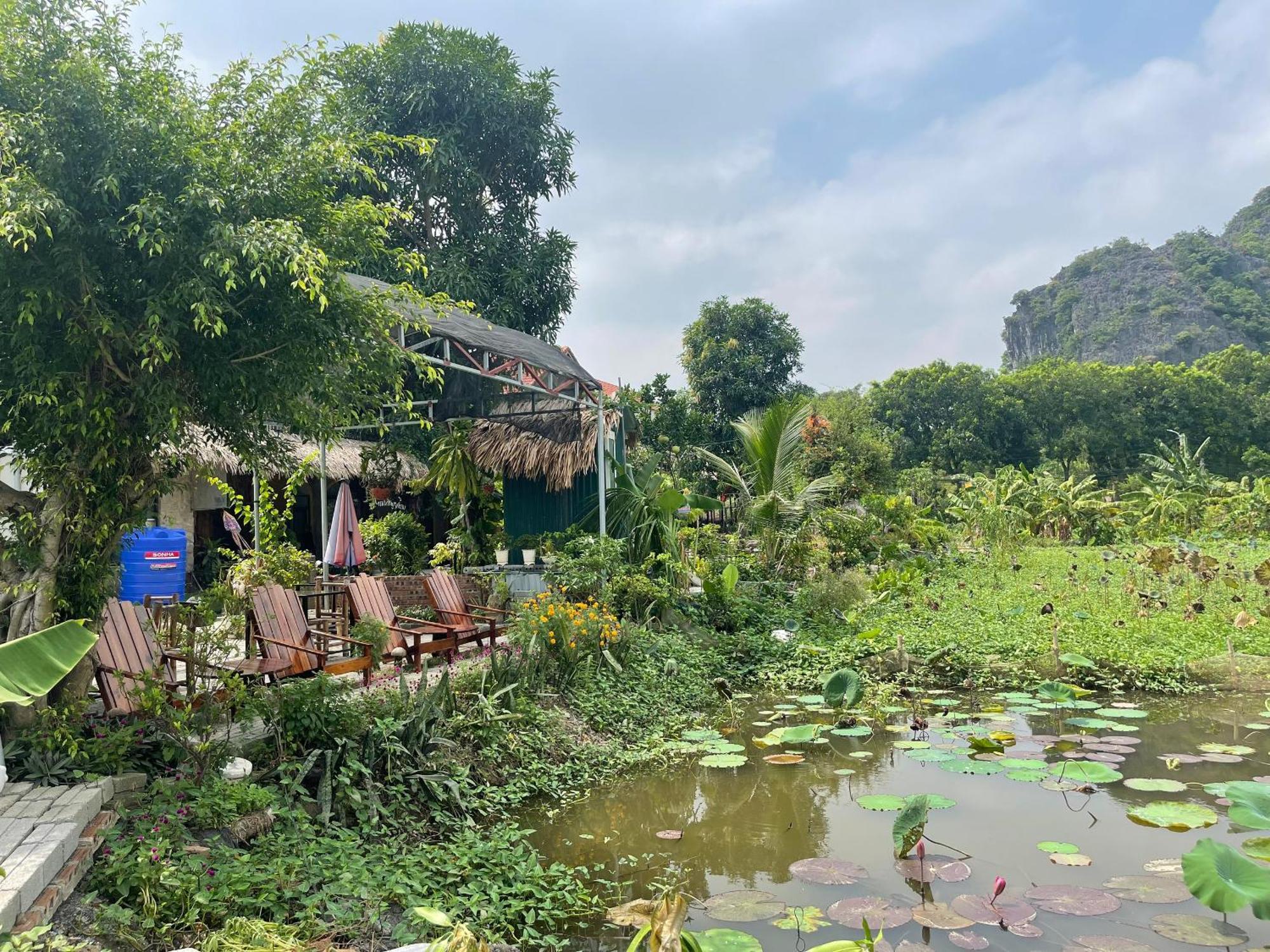 Tam Coc Mountain View *