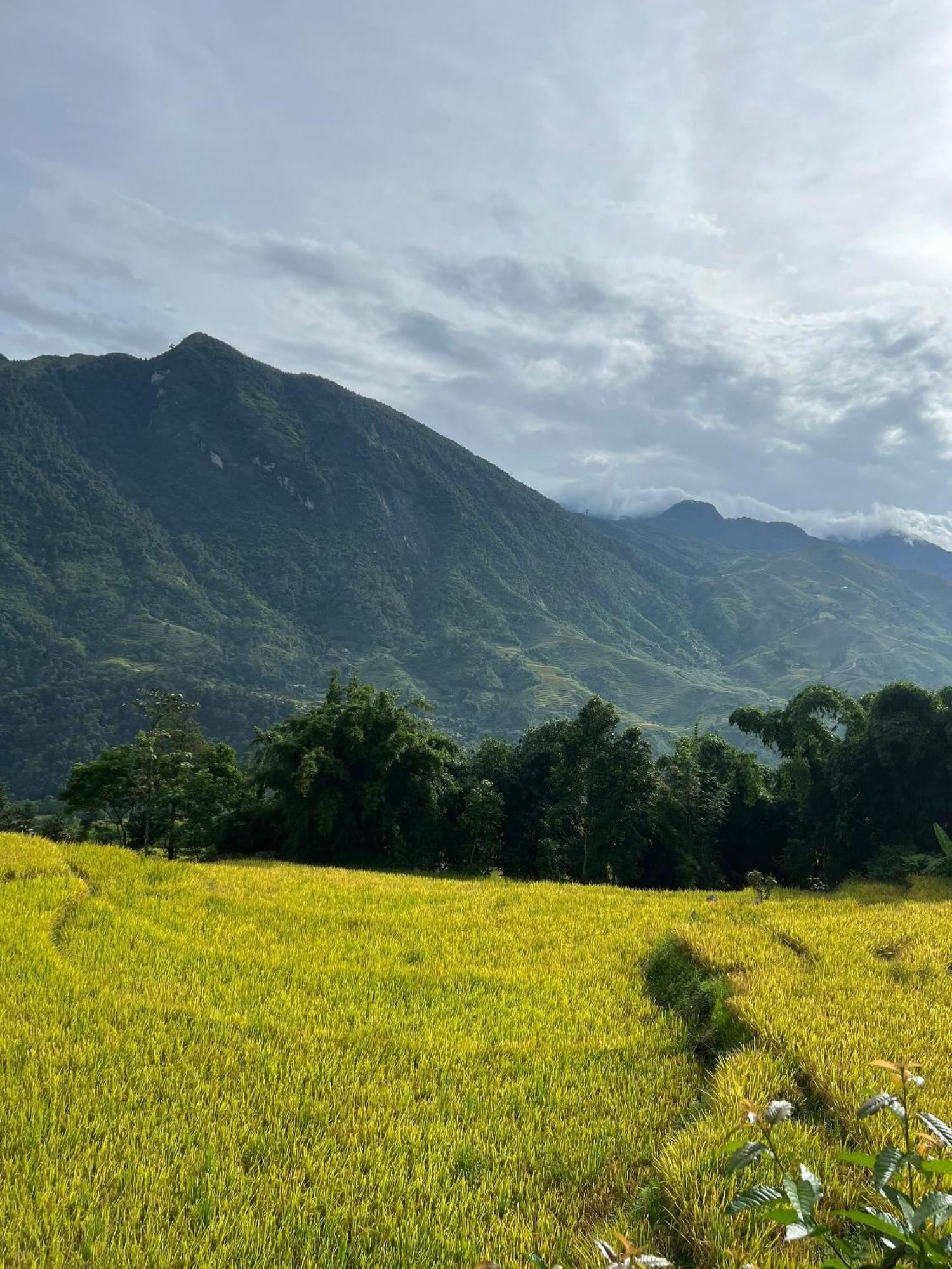 Khen Mong Nature Lodge *