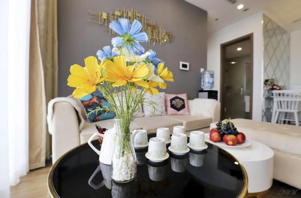 Apartment Q's Vinhomes Skylake